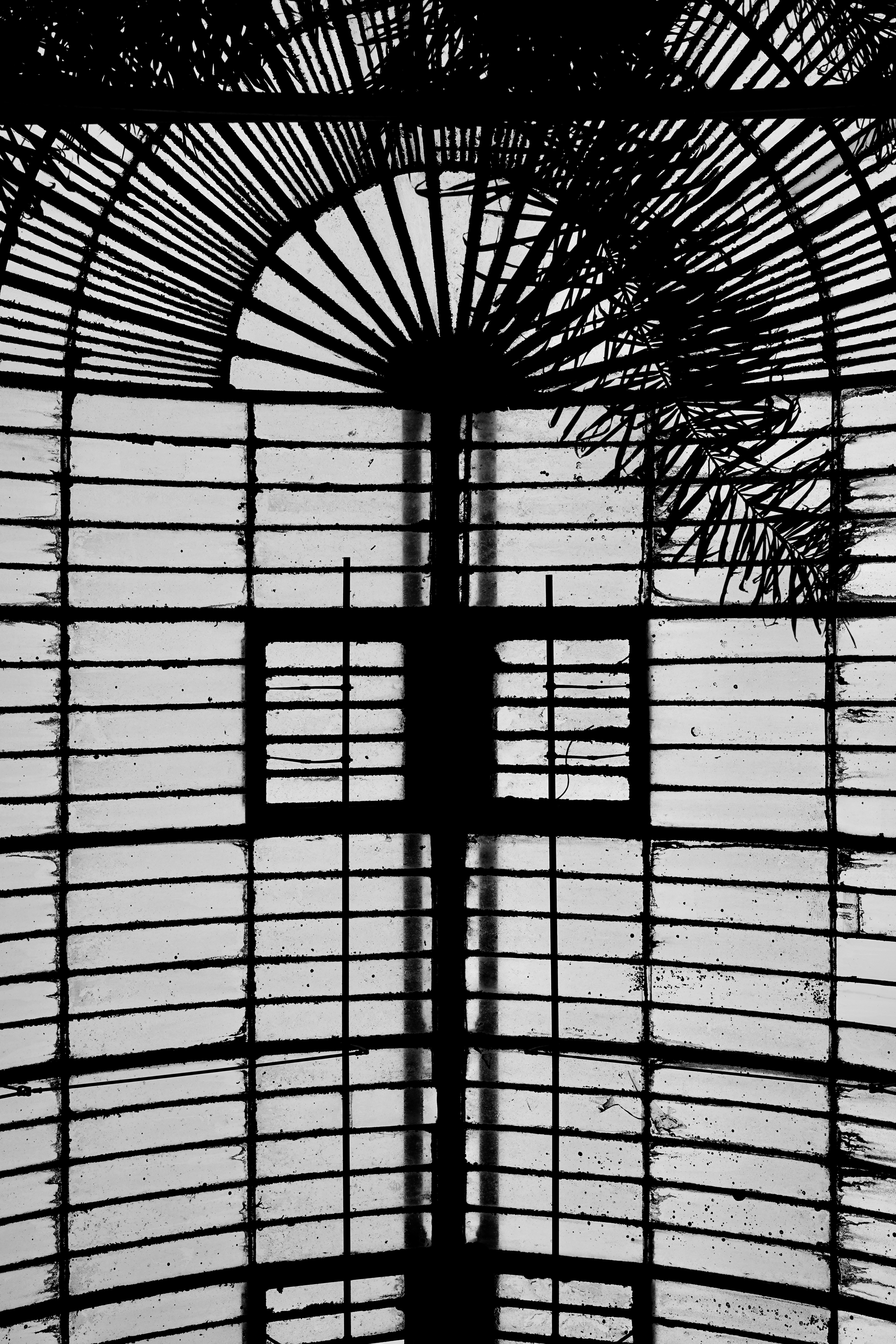 Geometric greenhouse roof with palm frond shadow