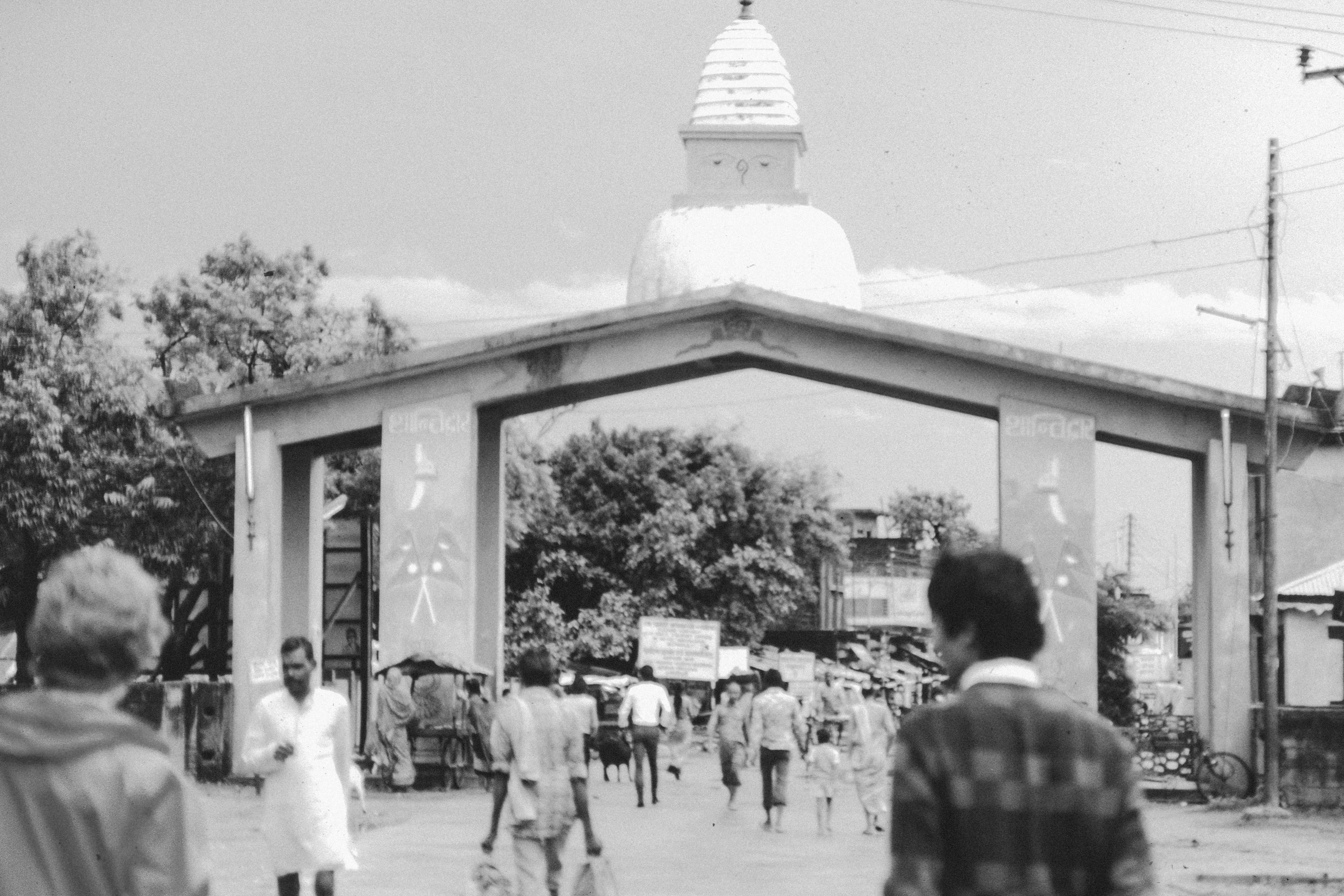 Photo by anniespratt