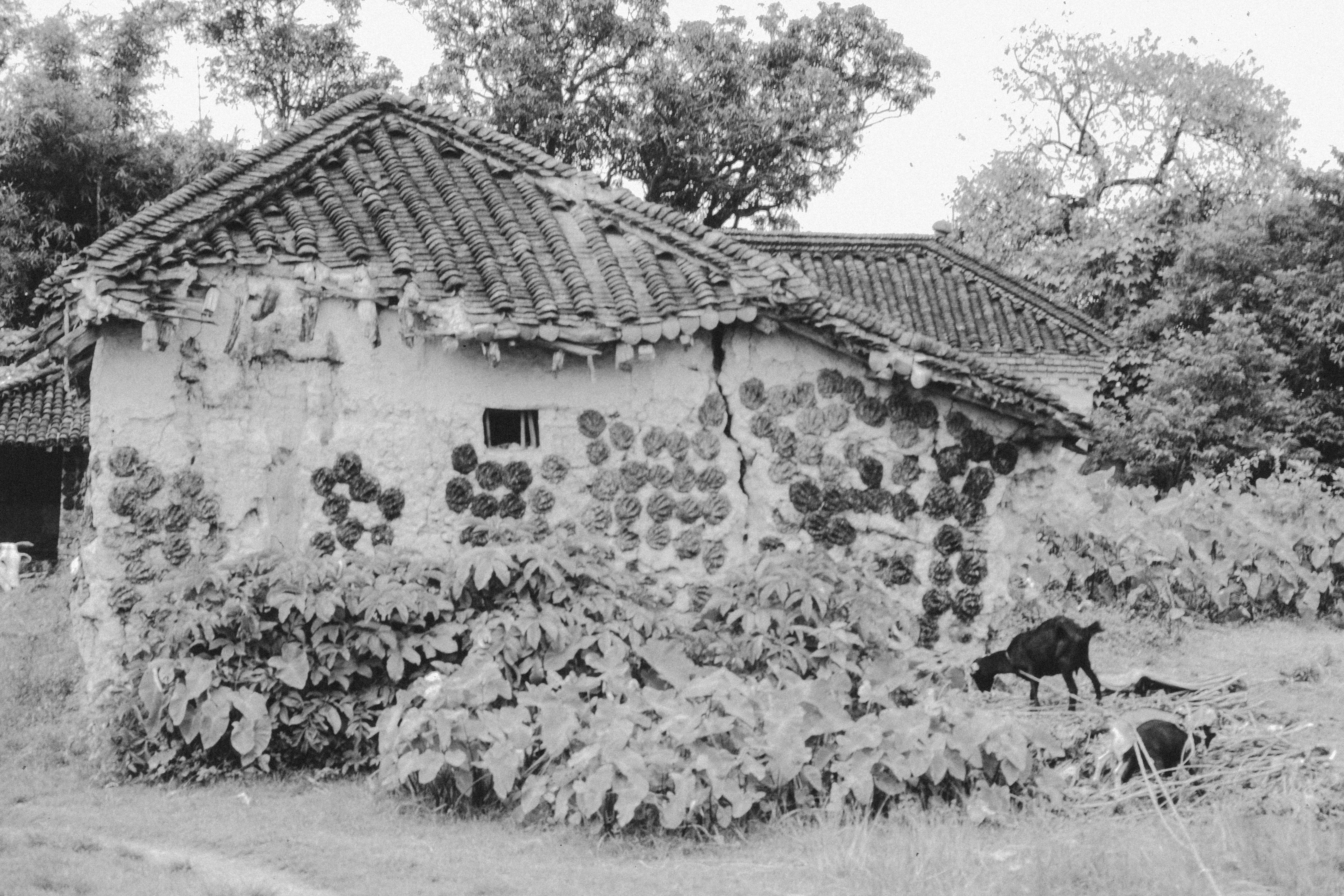 Photo by anniespratt