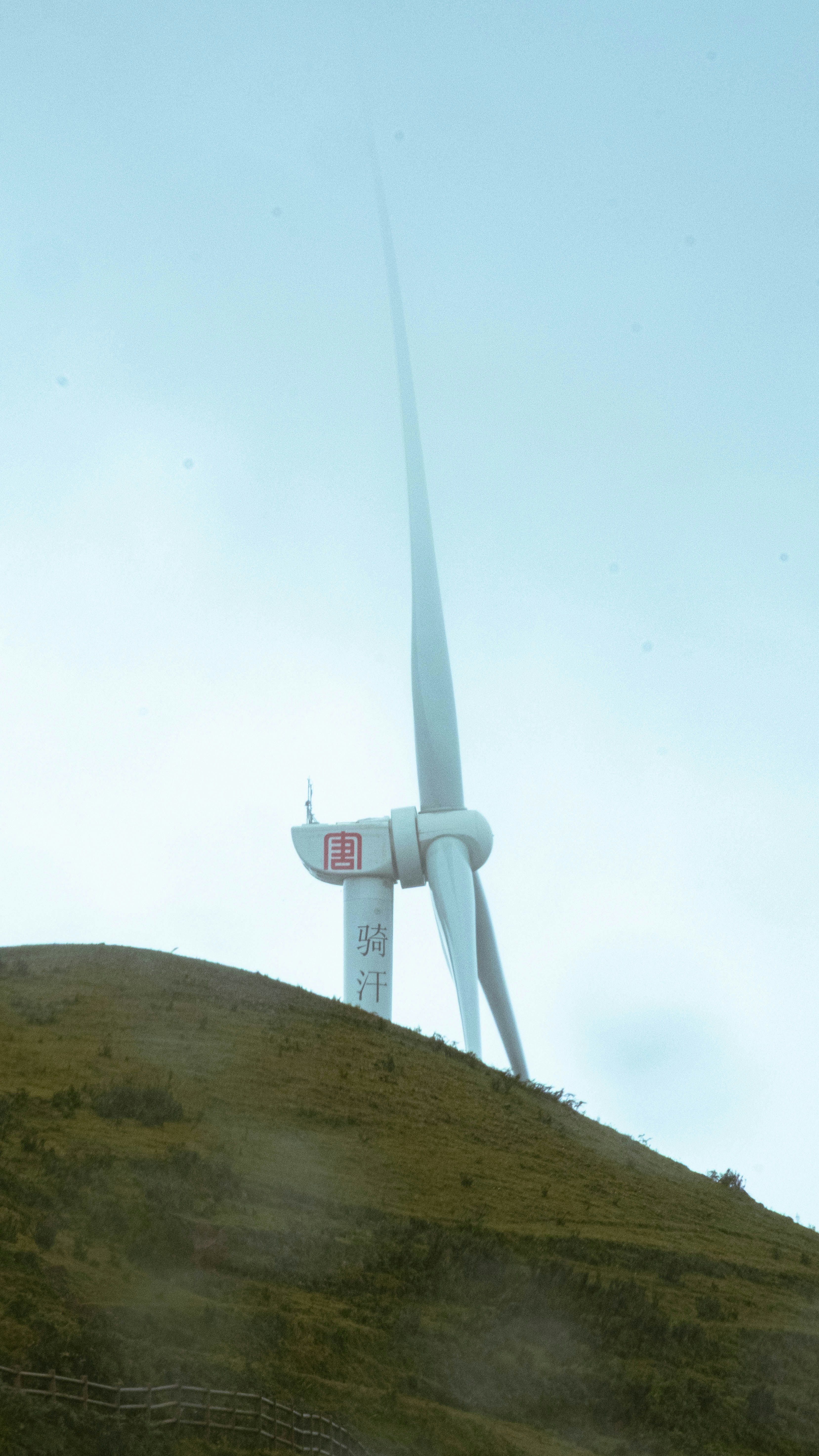 Renewable Energy Development