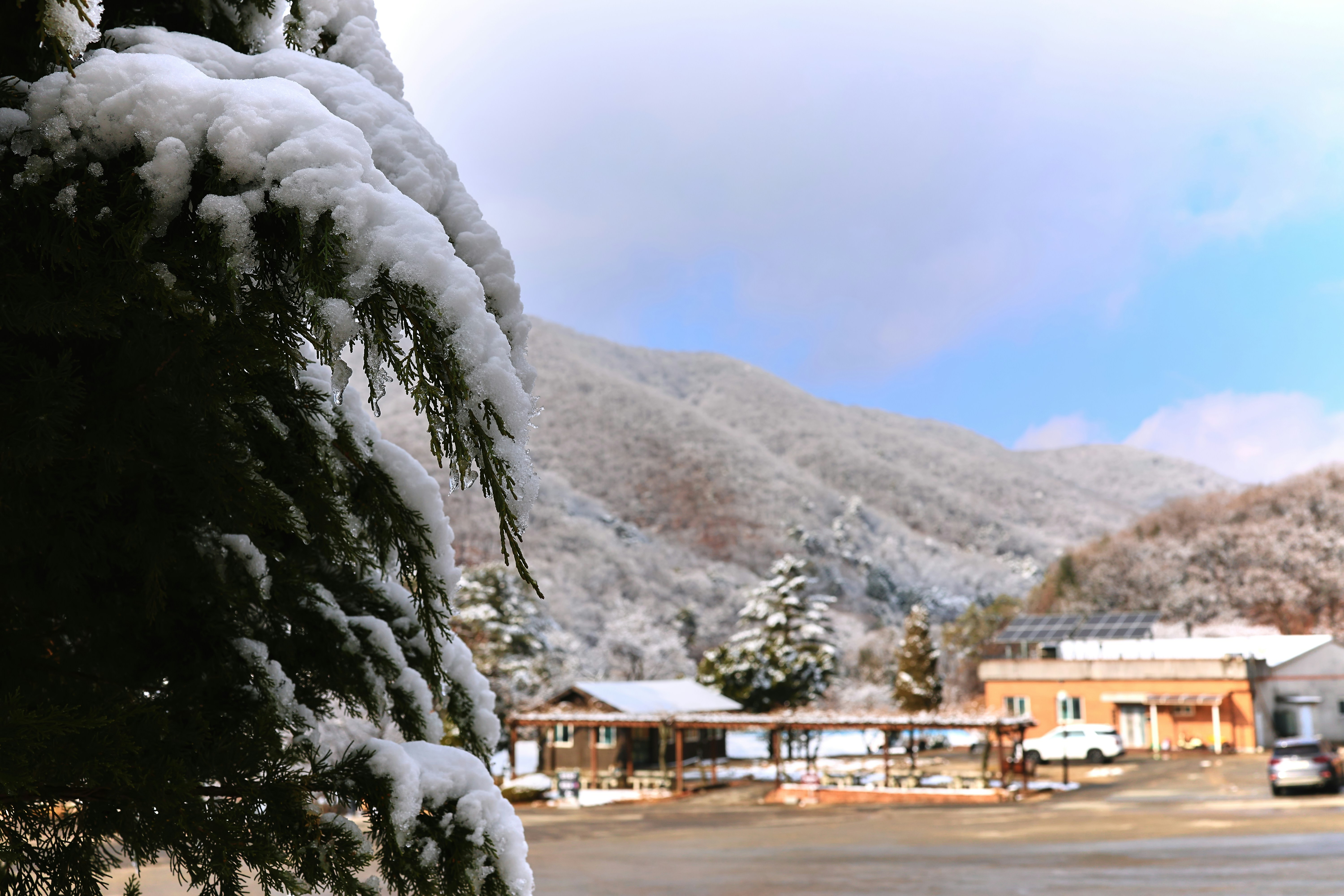 Snow-covered trees and buildings in a mountain landscape.