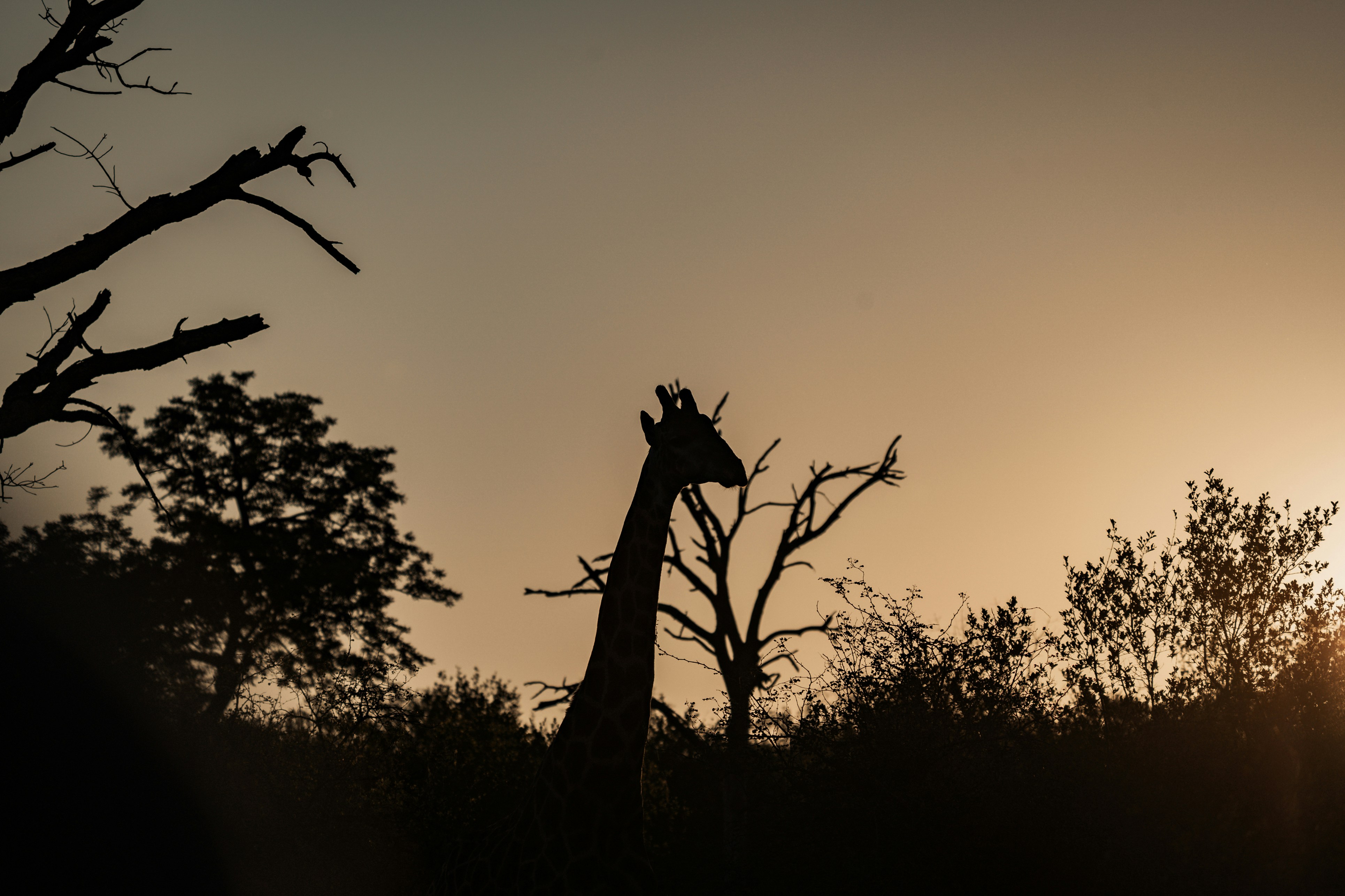 Exactly How Youngster Treatment Assists With Childhood Trauma And Ptsd