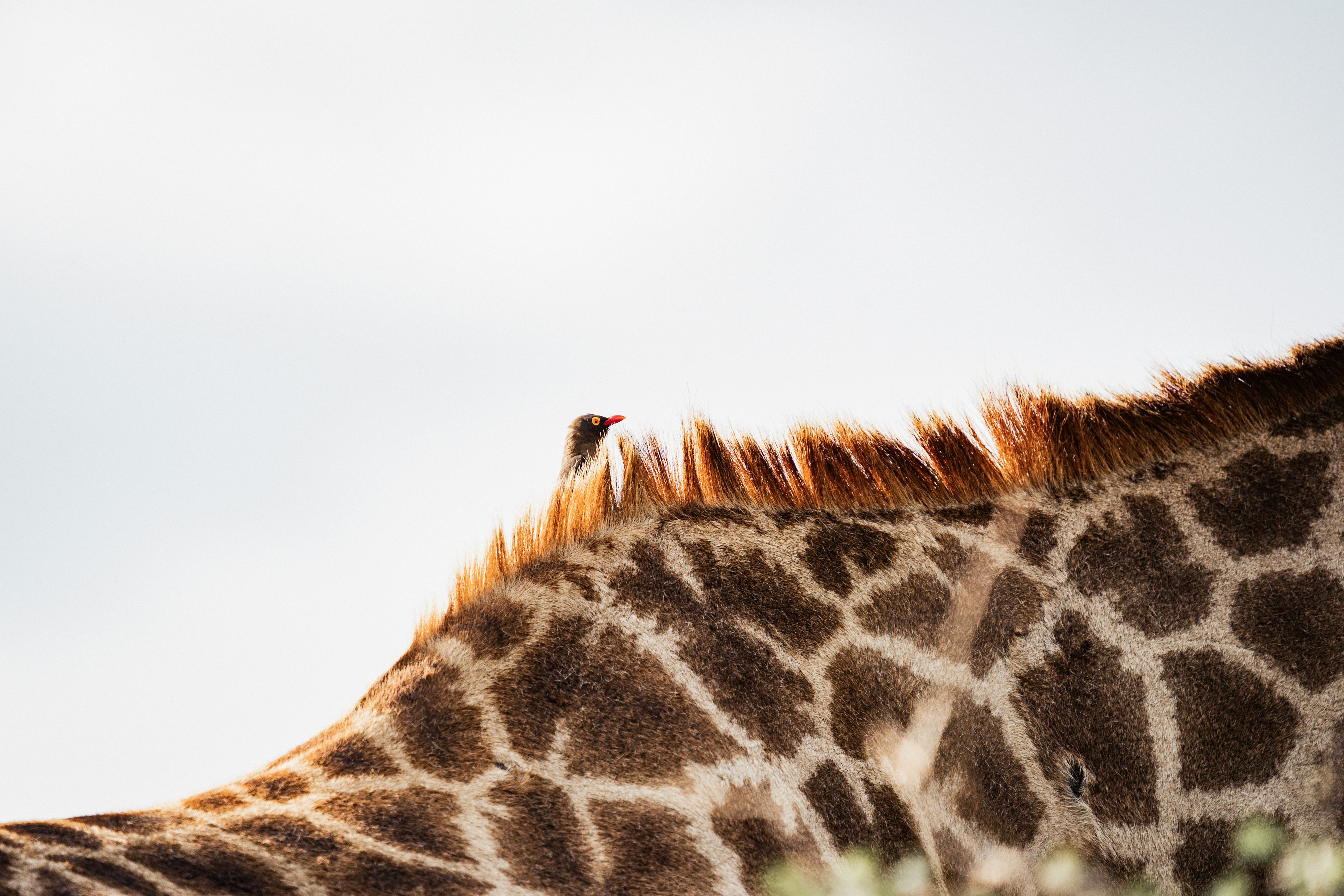 Fe Aggiornado Post feature image