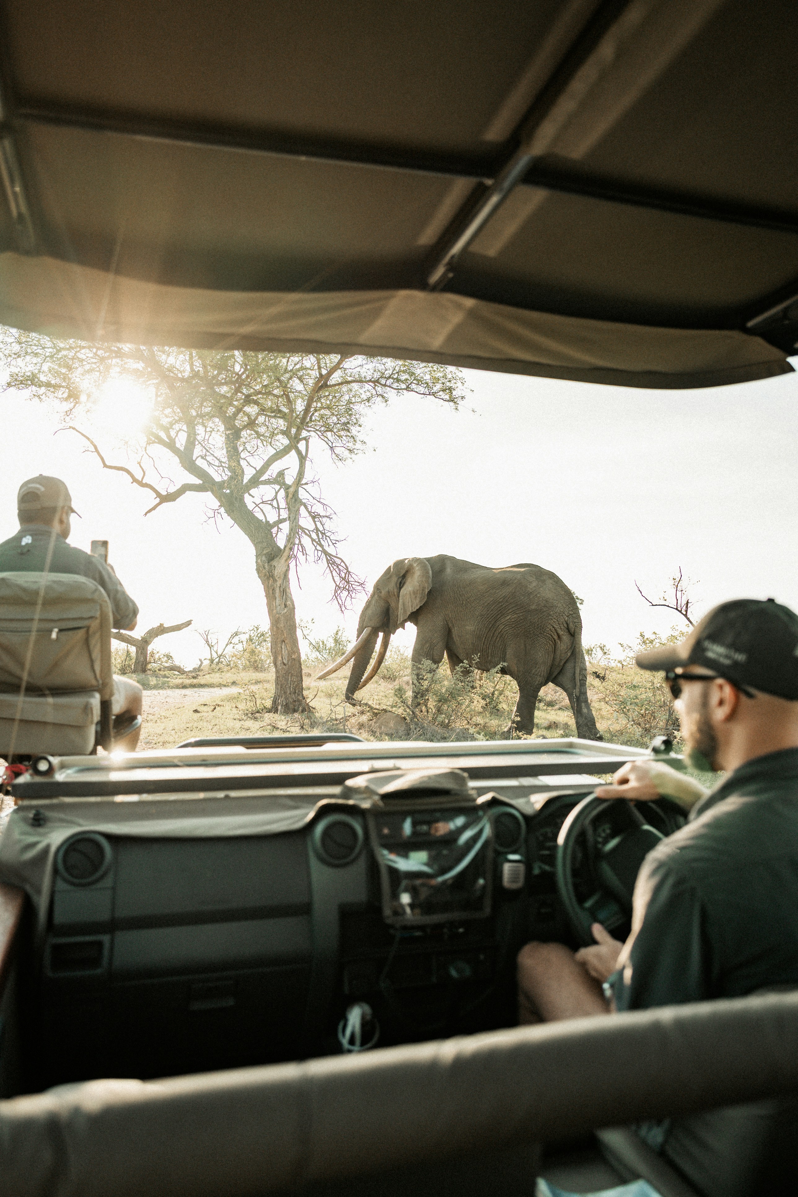 Safari tourists observe an elephant on a game drive.