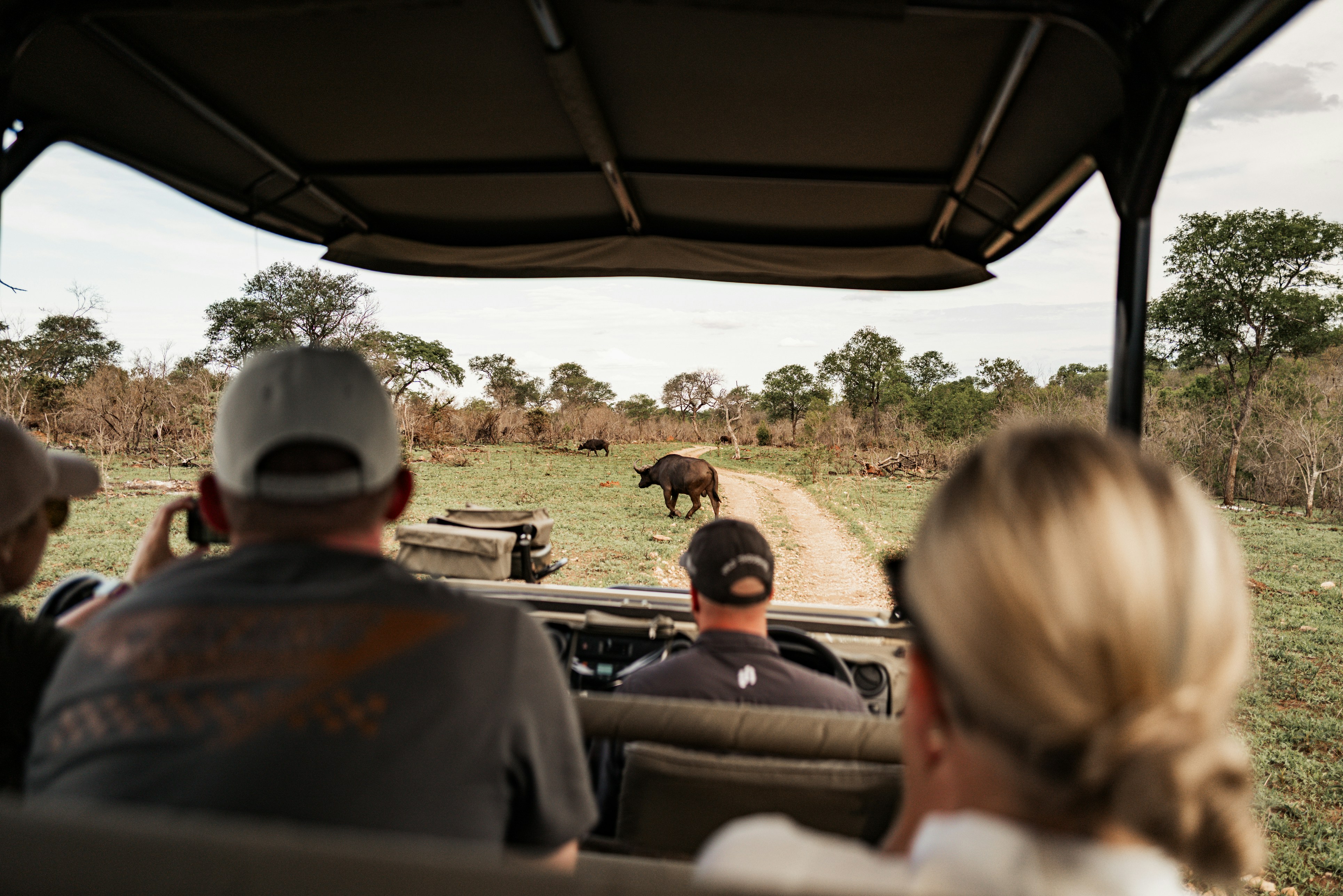 친구랑 보내는 '우정 발렌타인' 아이디어: 특별한 사랑을 나누는 방법