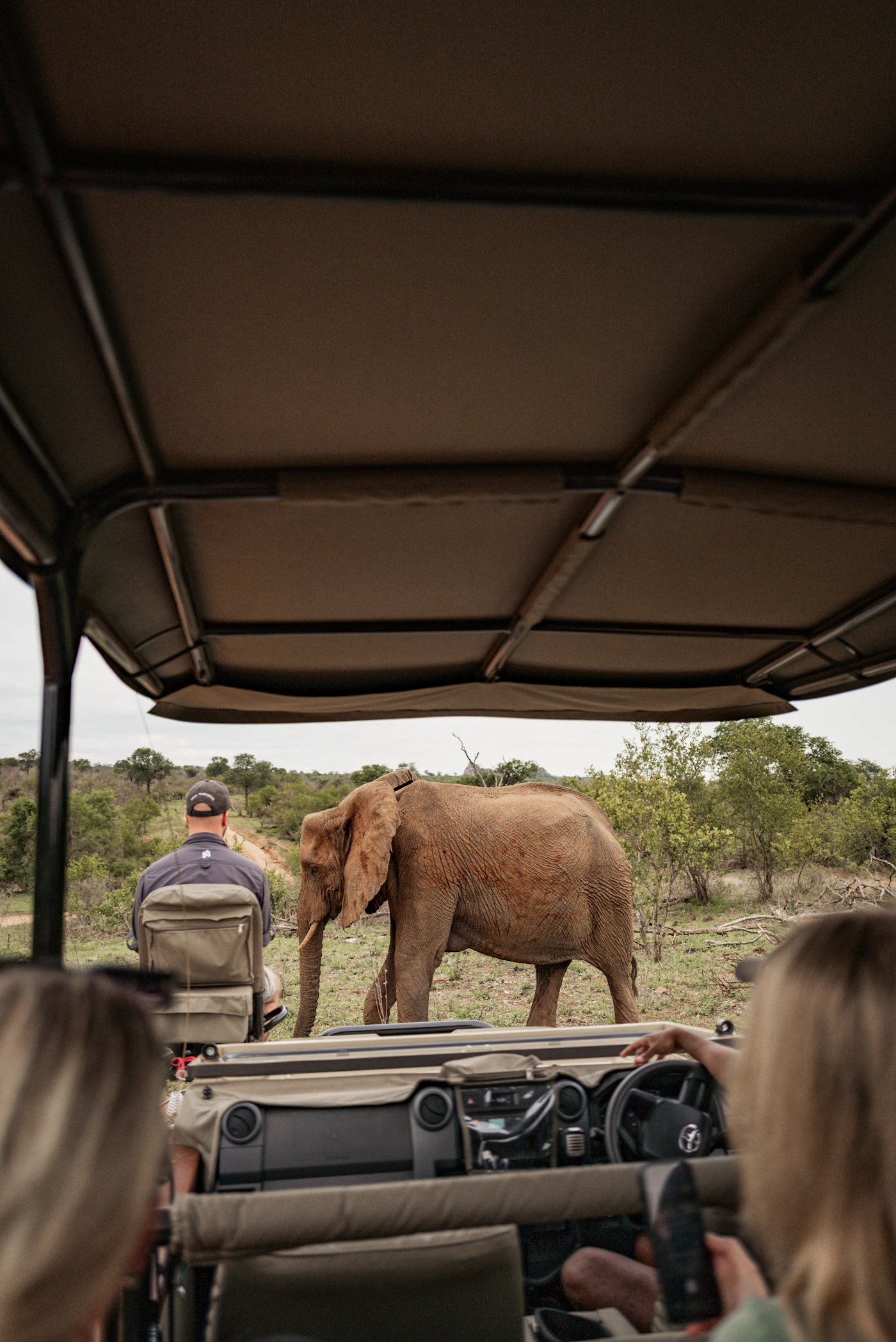Safari vehicle approaching elephant during game drive