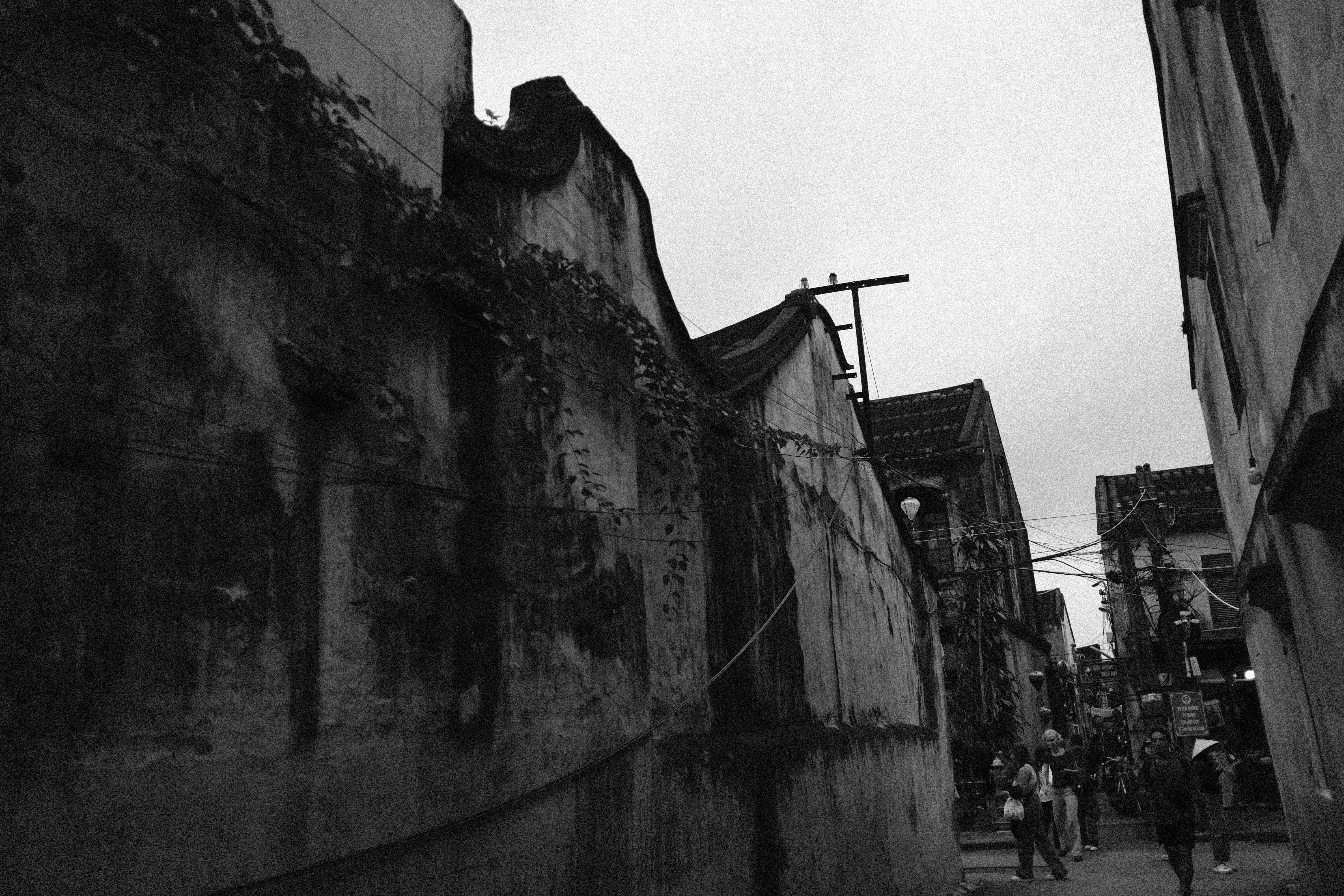 Photo by hoianphotographer