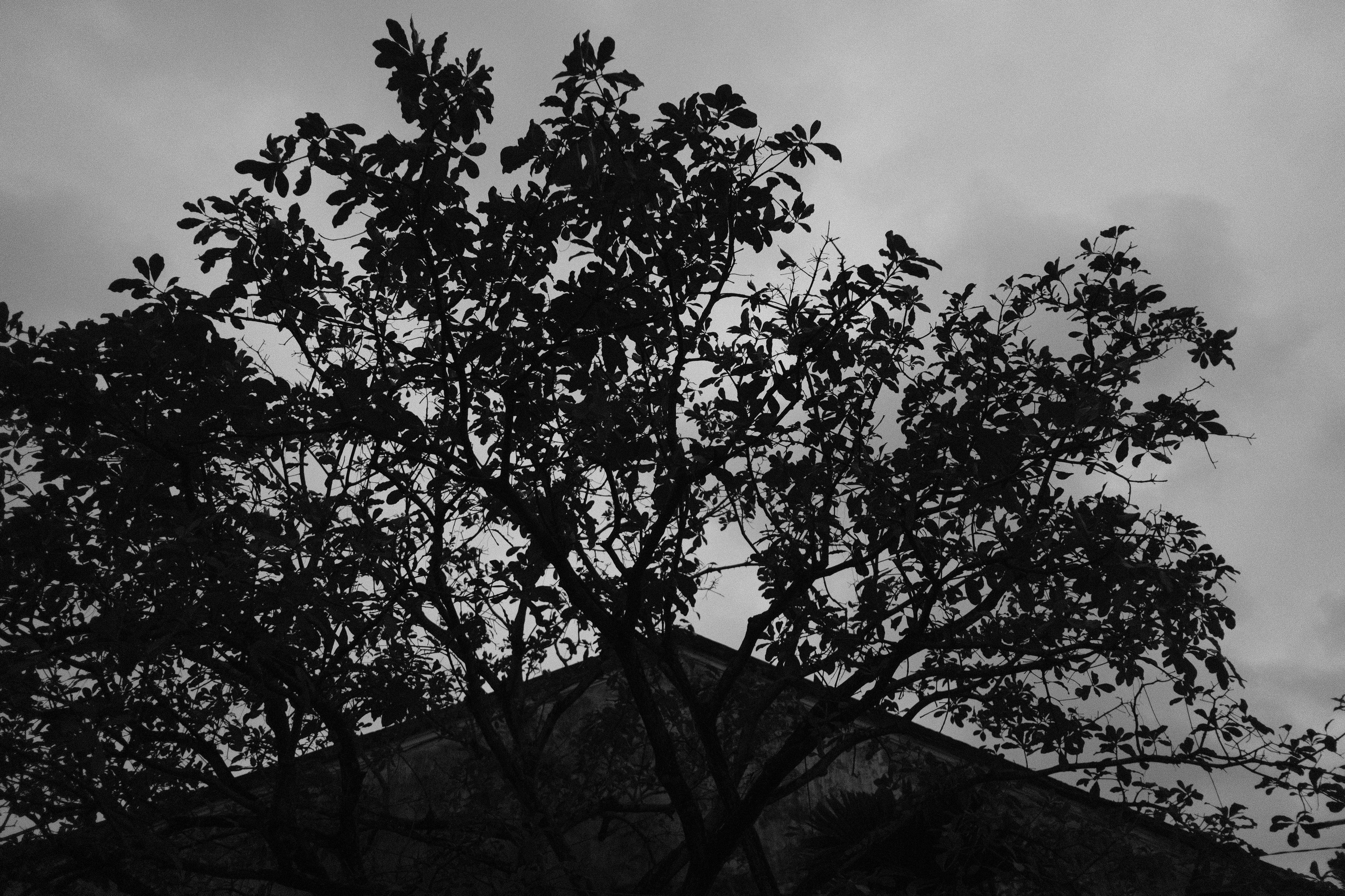 Photo by hoianphotographer