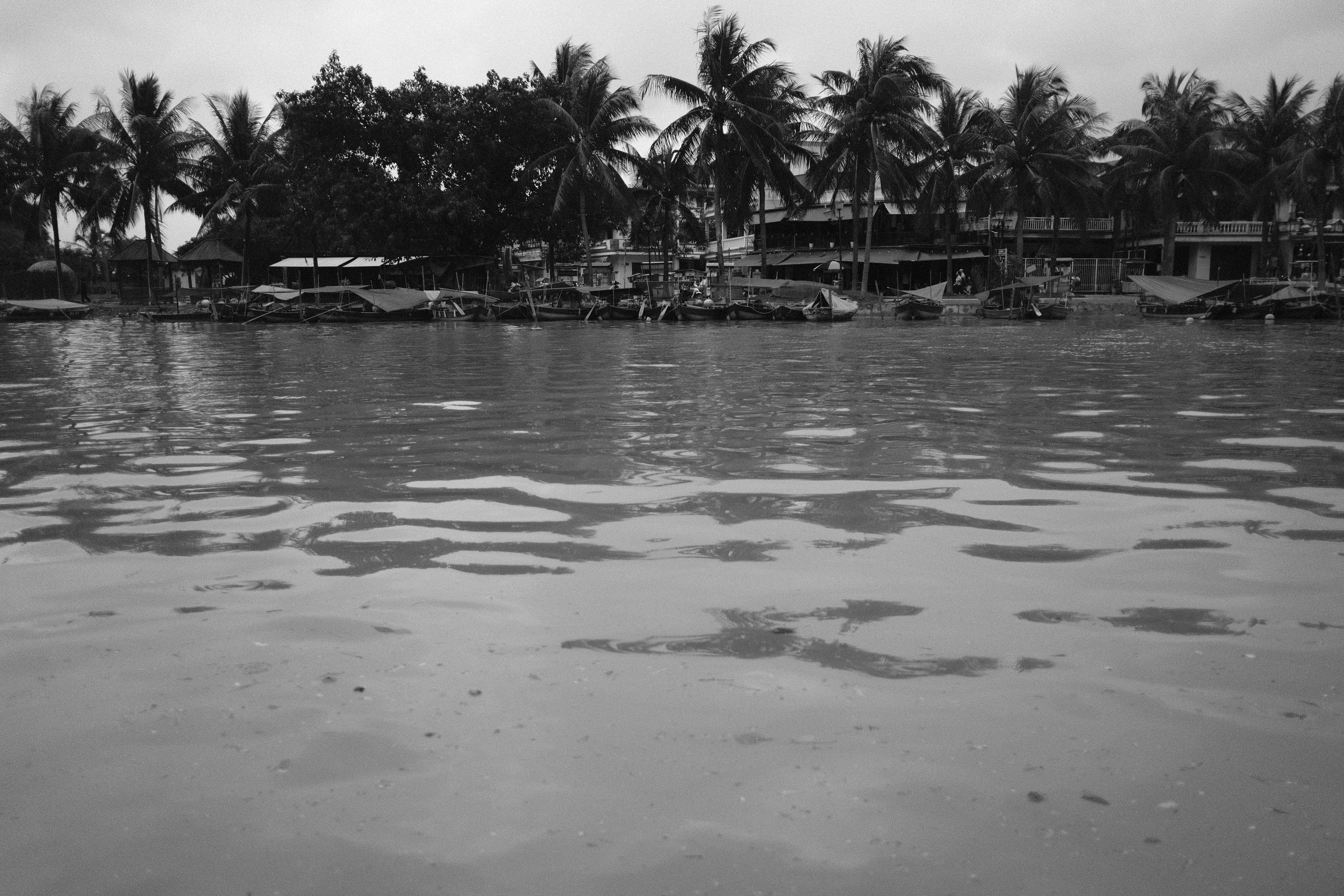 Photo by hoianphotographer