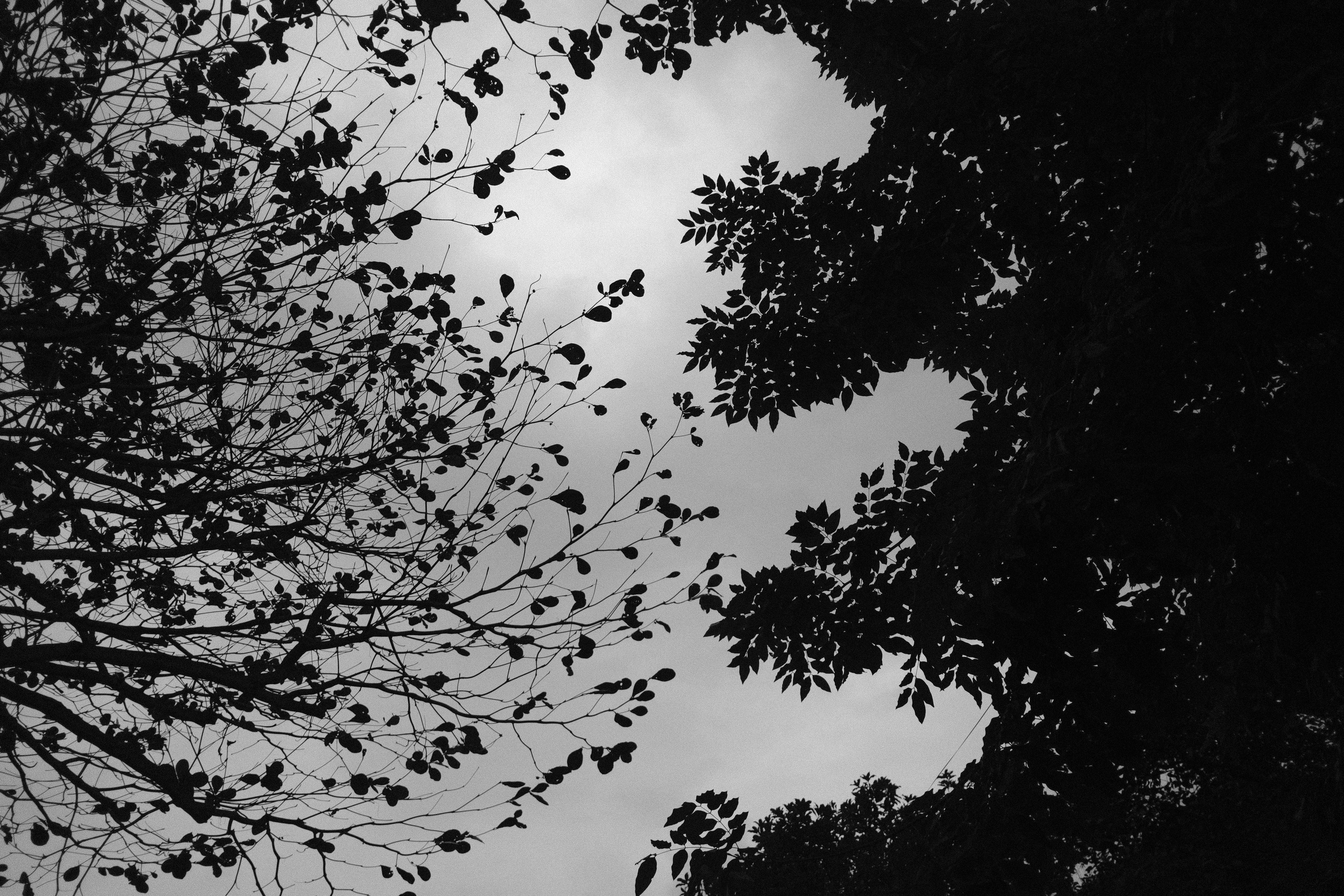 Photo by hoianphotographer