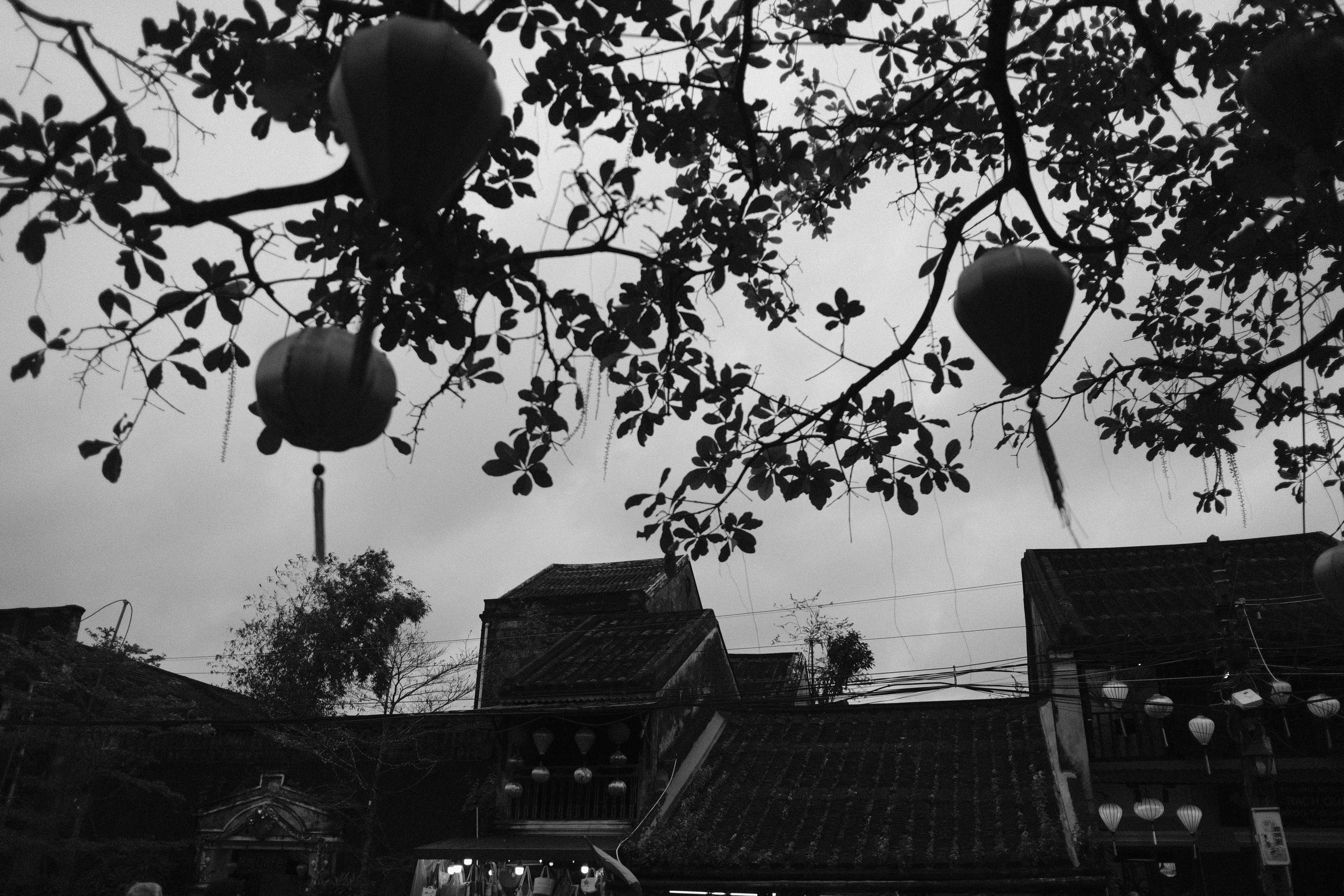 Photo by hoianphotographer