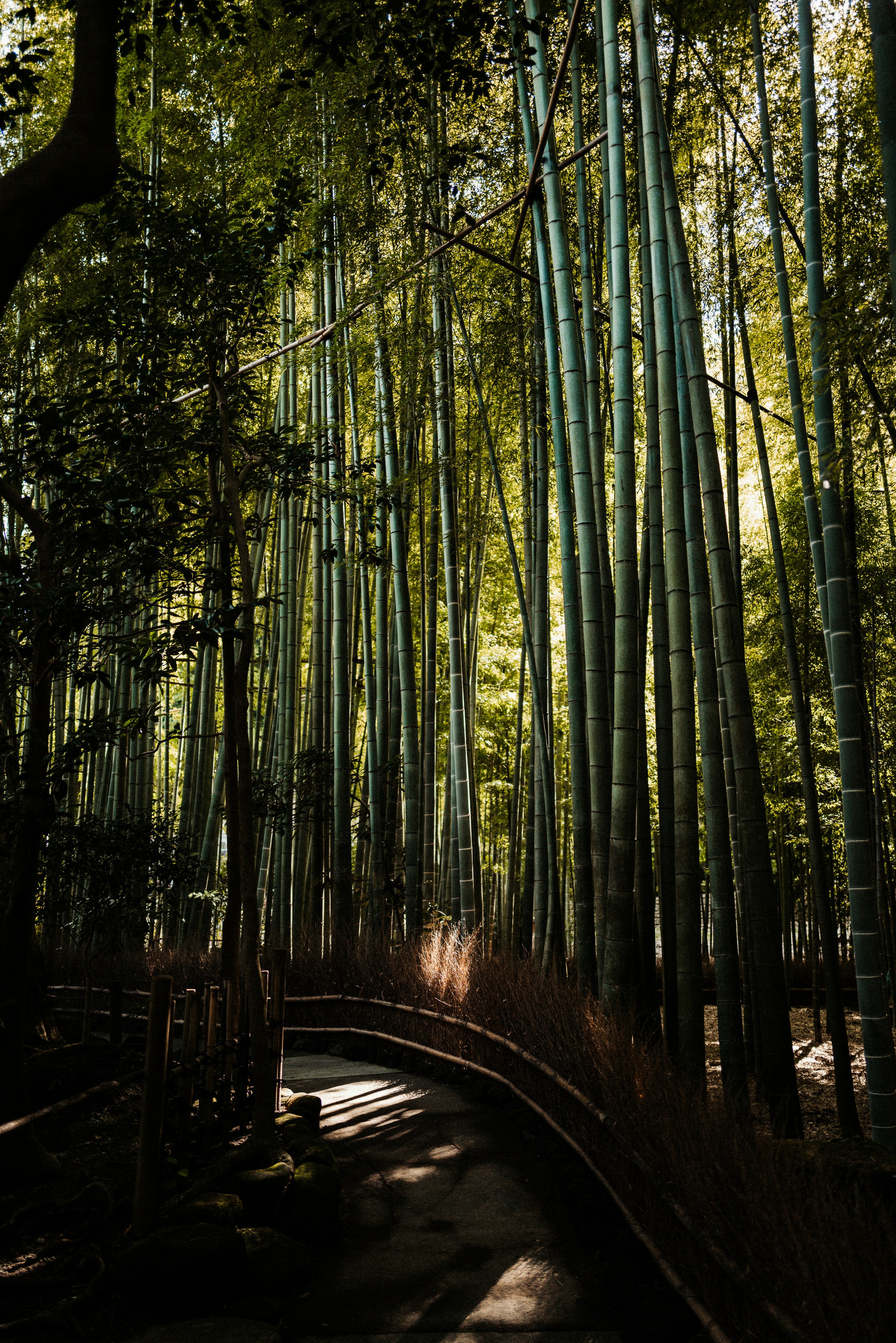 千葉 磯遊び＆シュノーケリング