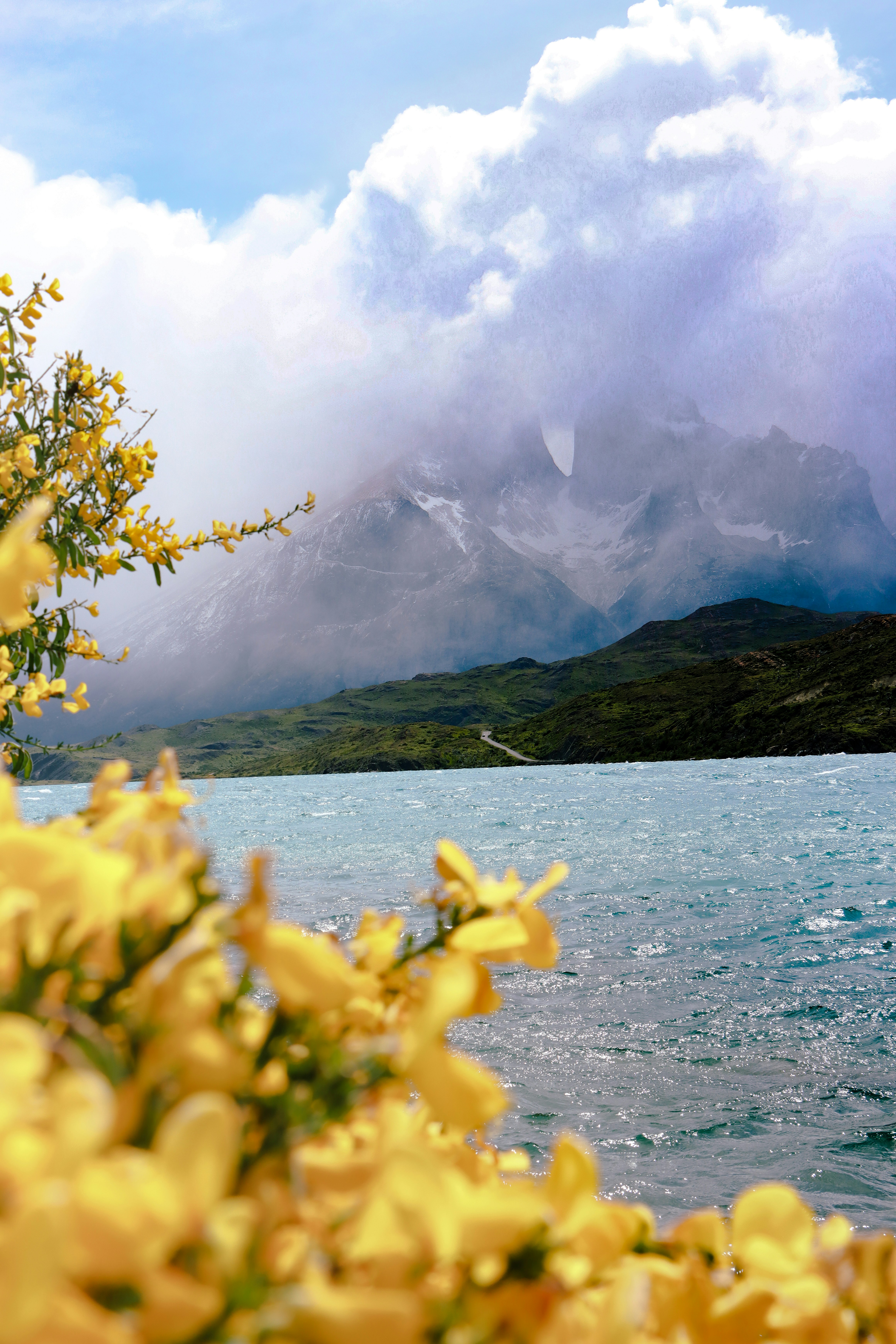 Des fleurs jaunes fleurissent près d’un lac aux montagnes brumeuses.