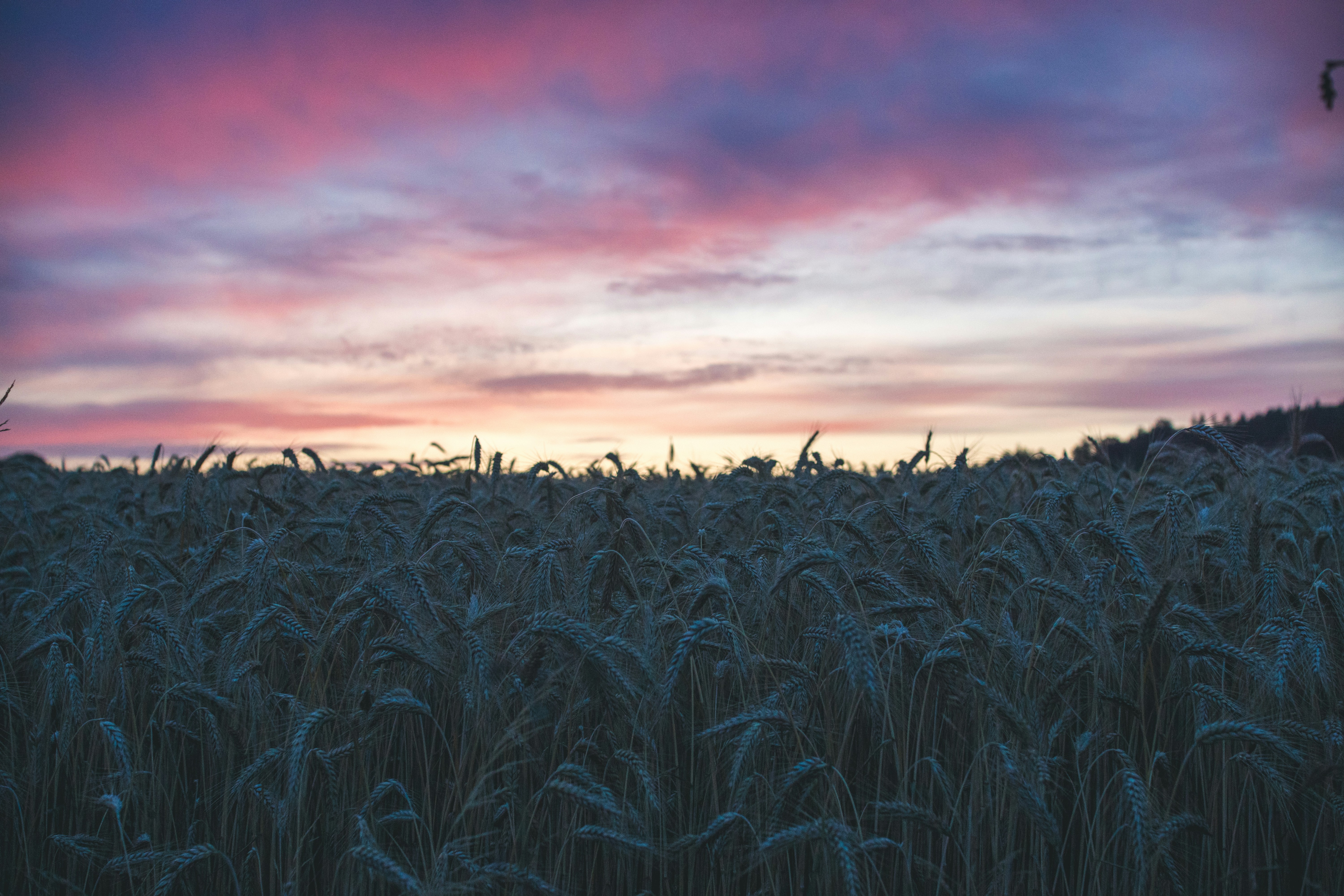 Photo by luxunderscore