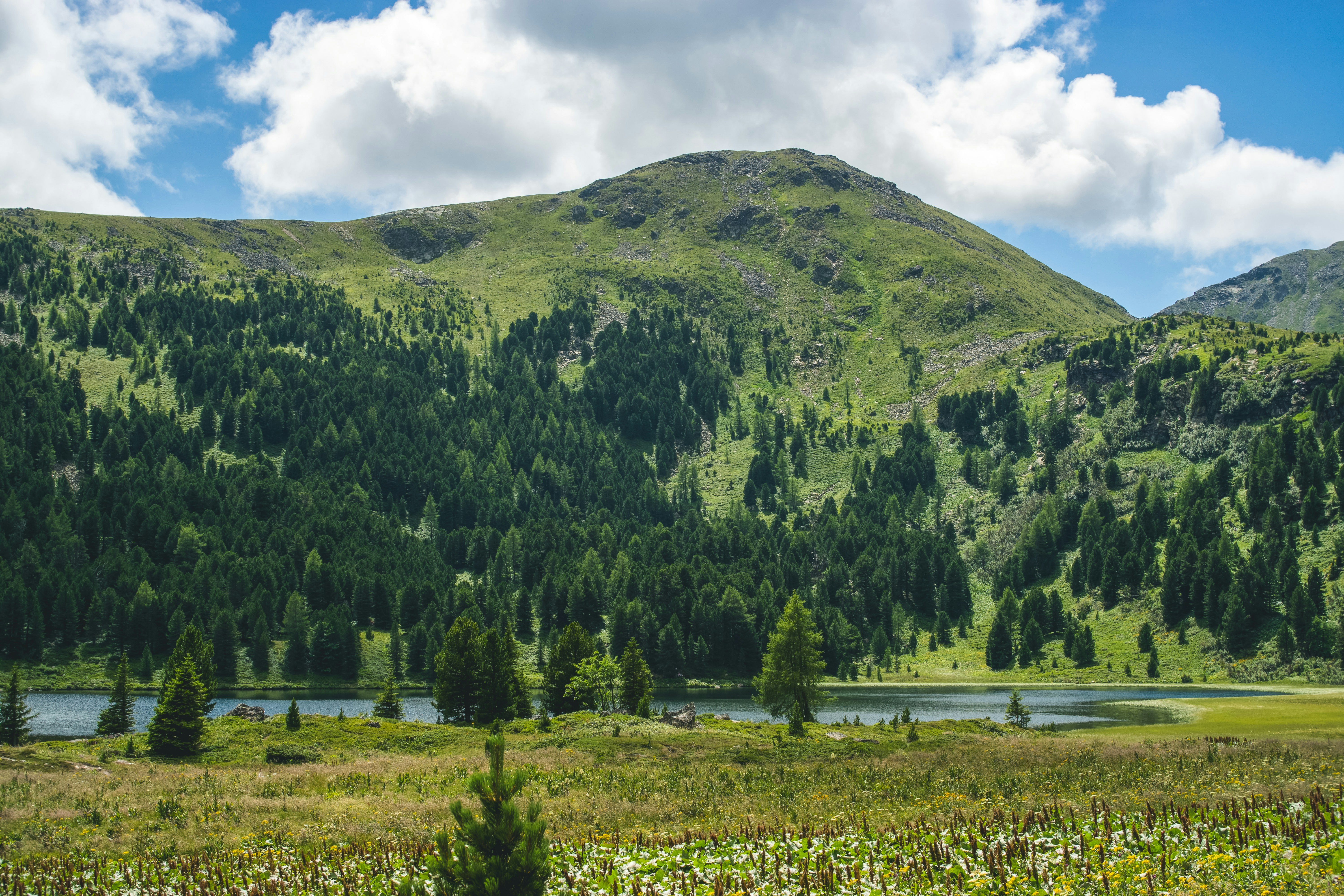 Photo by luxunderscore