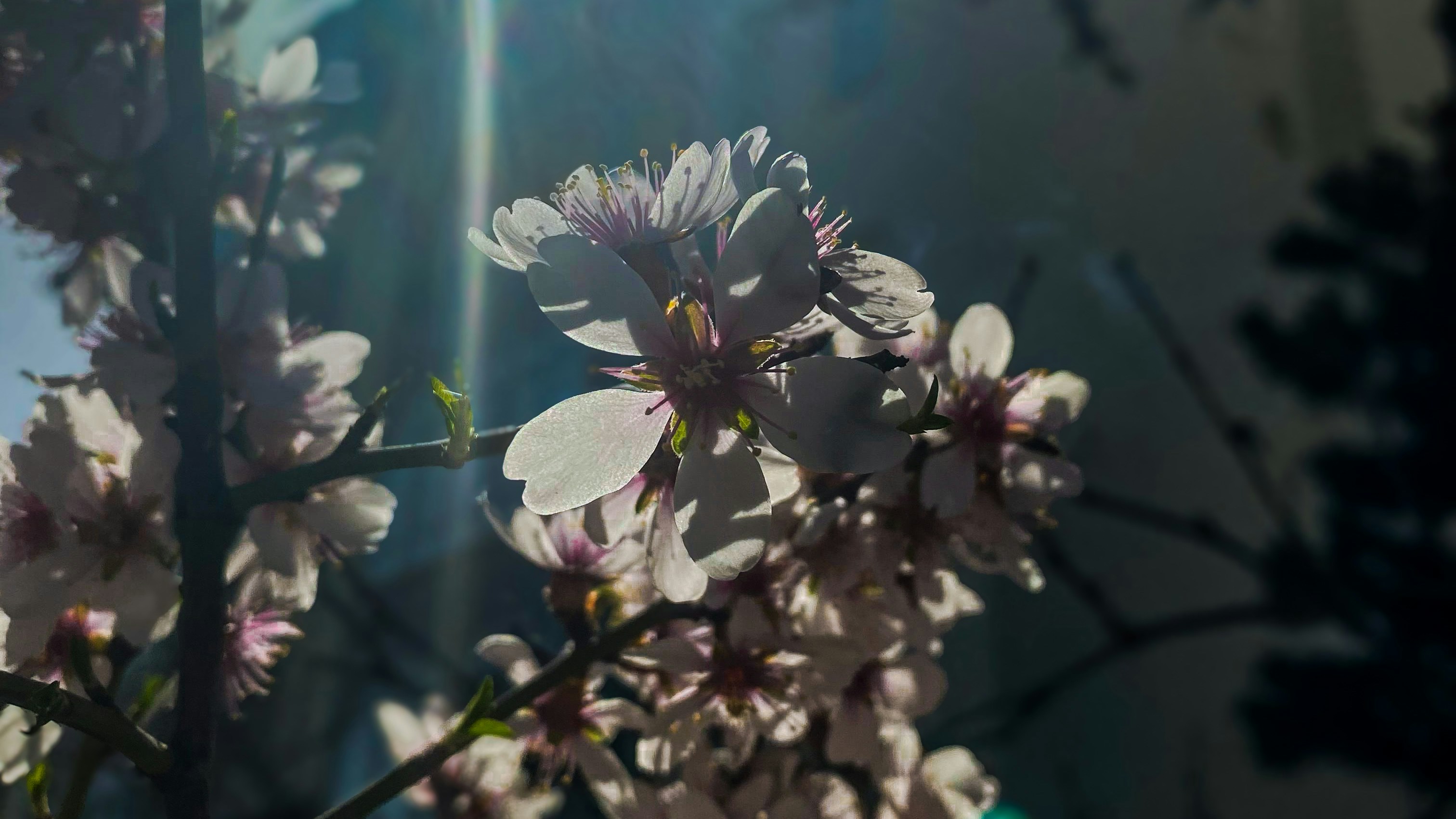 Photo by emrephotography