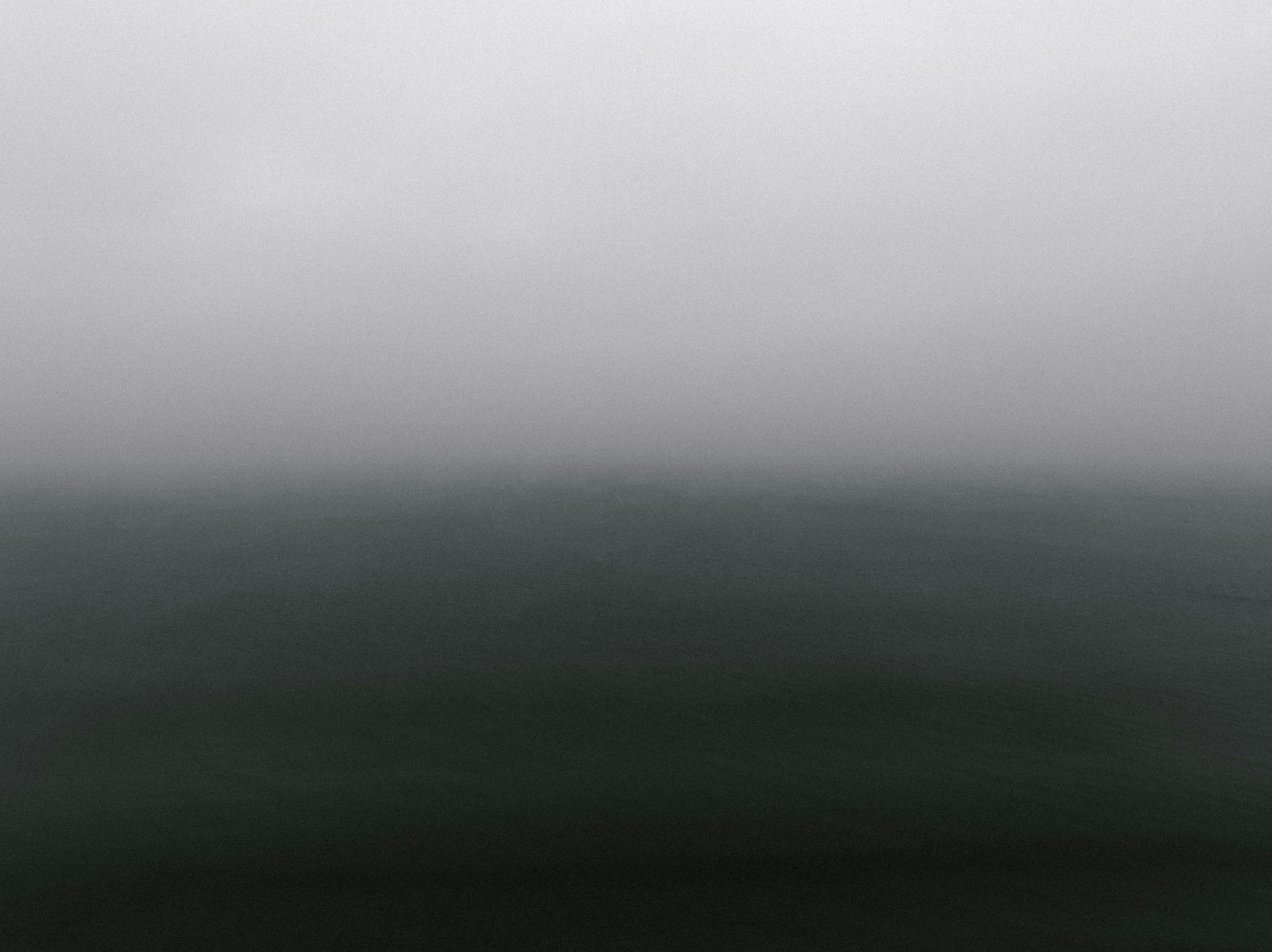 Photo by kristapsungurs