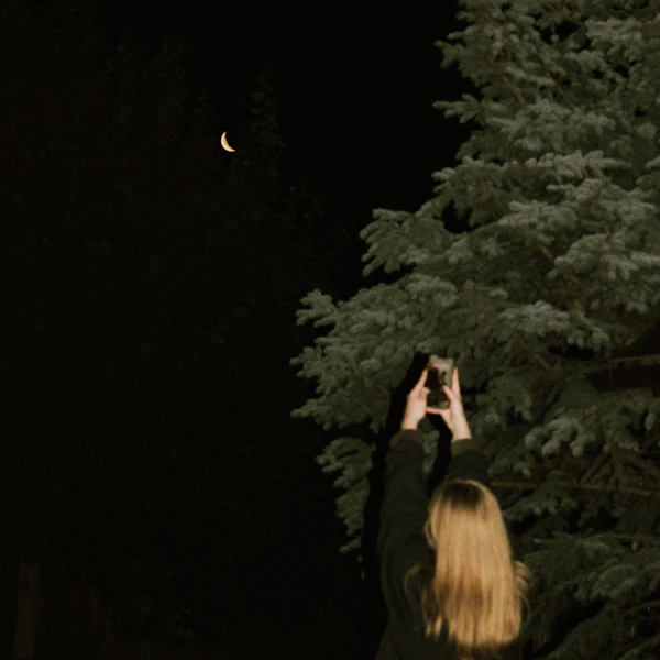 Hands holding a phone up to photograph the night sky and a crescent moon above snow-covered spruce