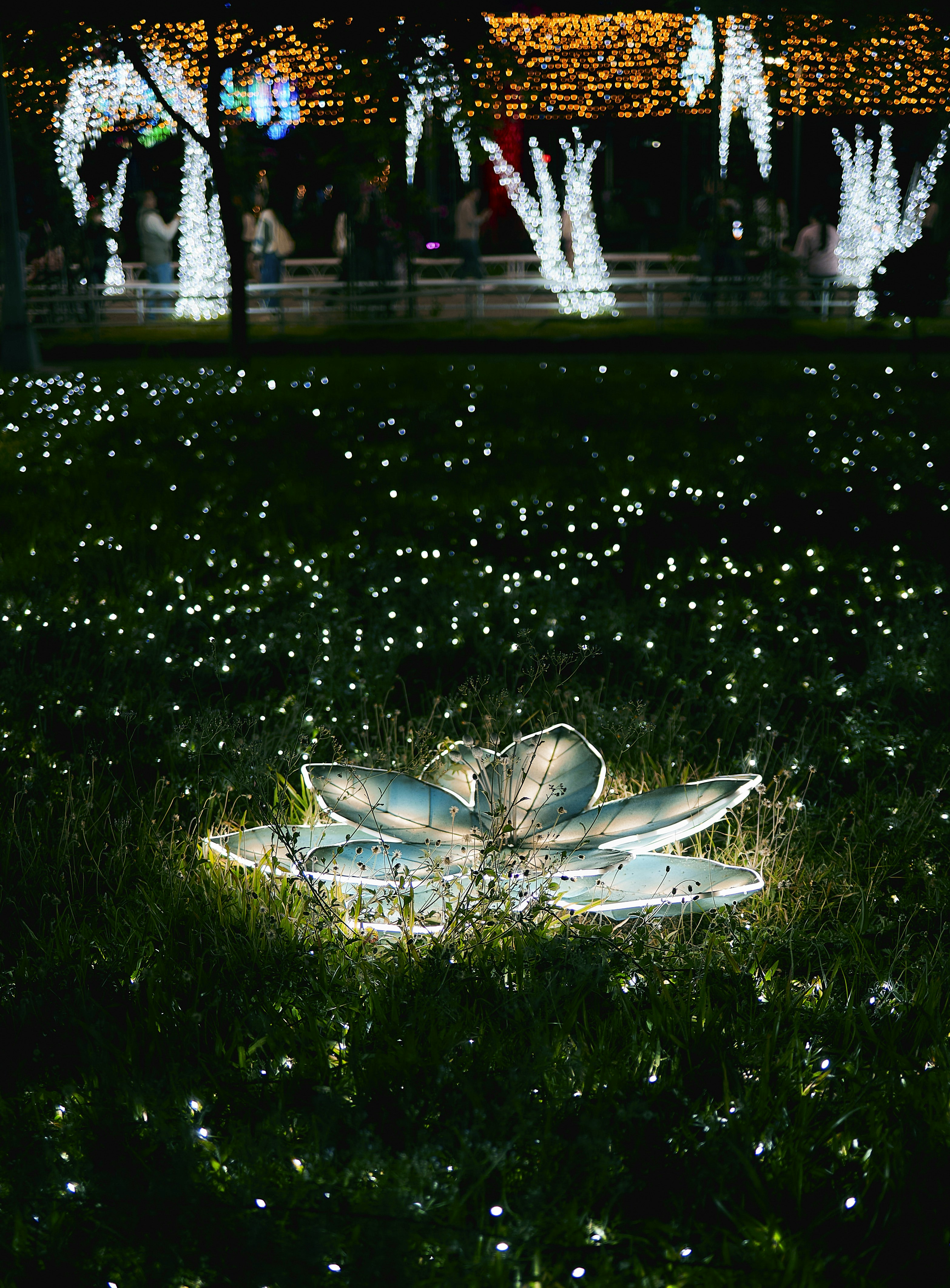 Installation de lotus lumineux dans un parc féerique
