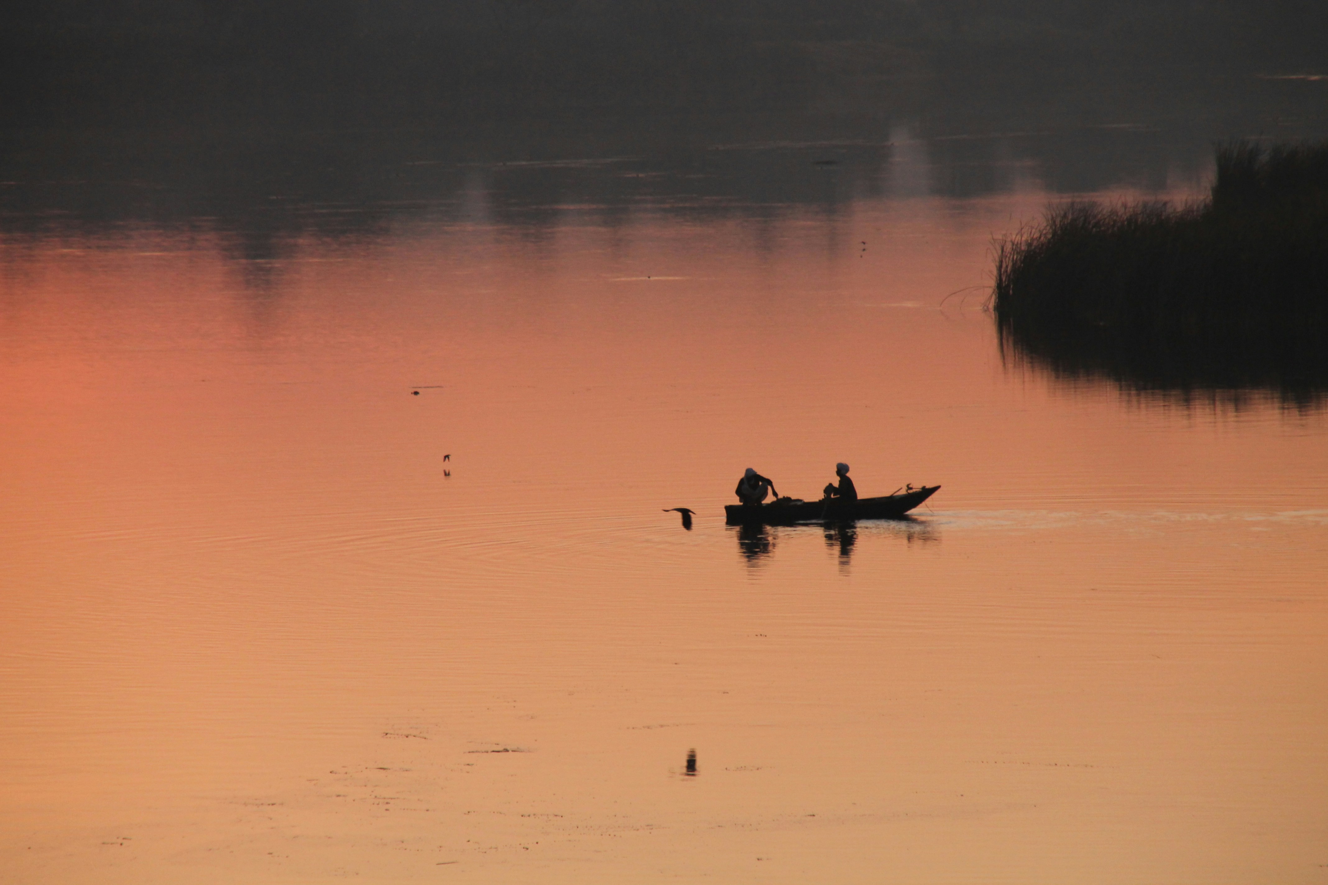 Photo by charlottedm