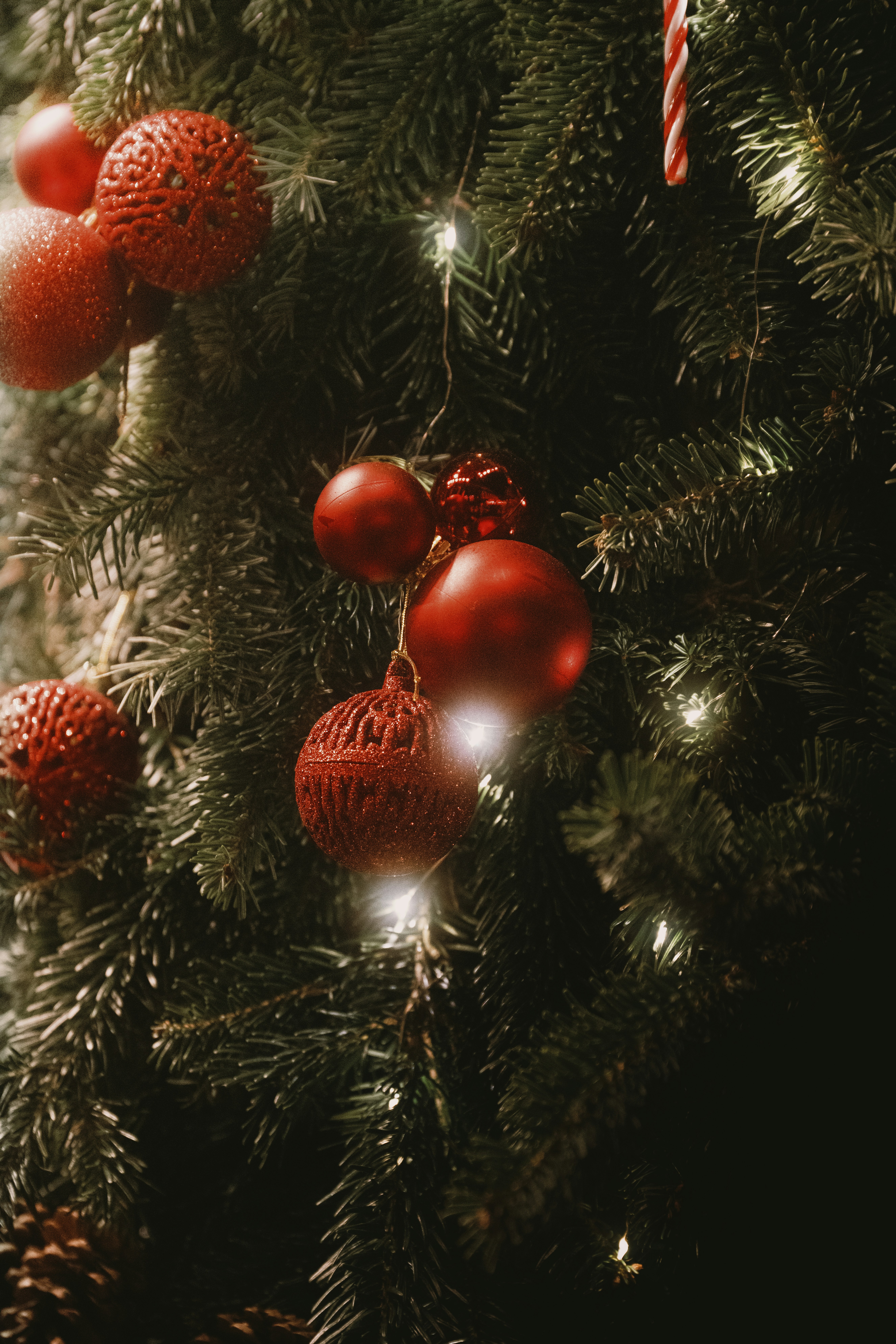 Red ornaments and lights on a christmas tree