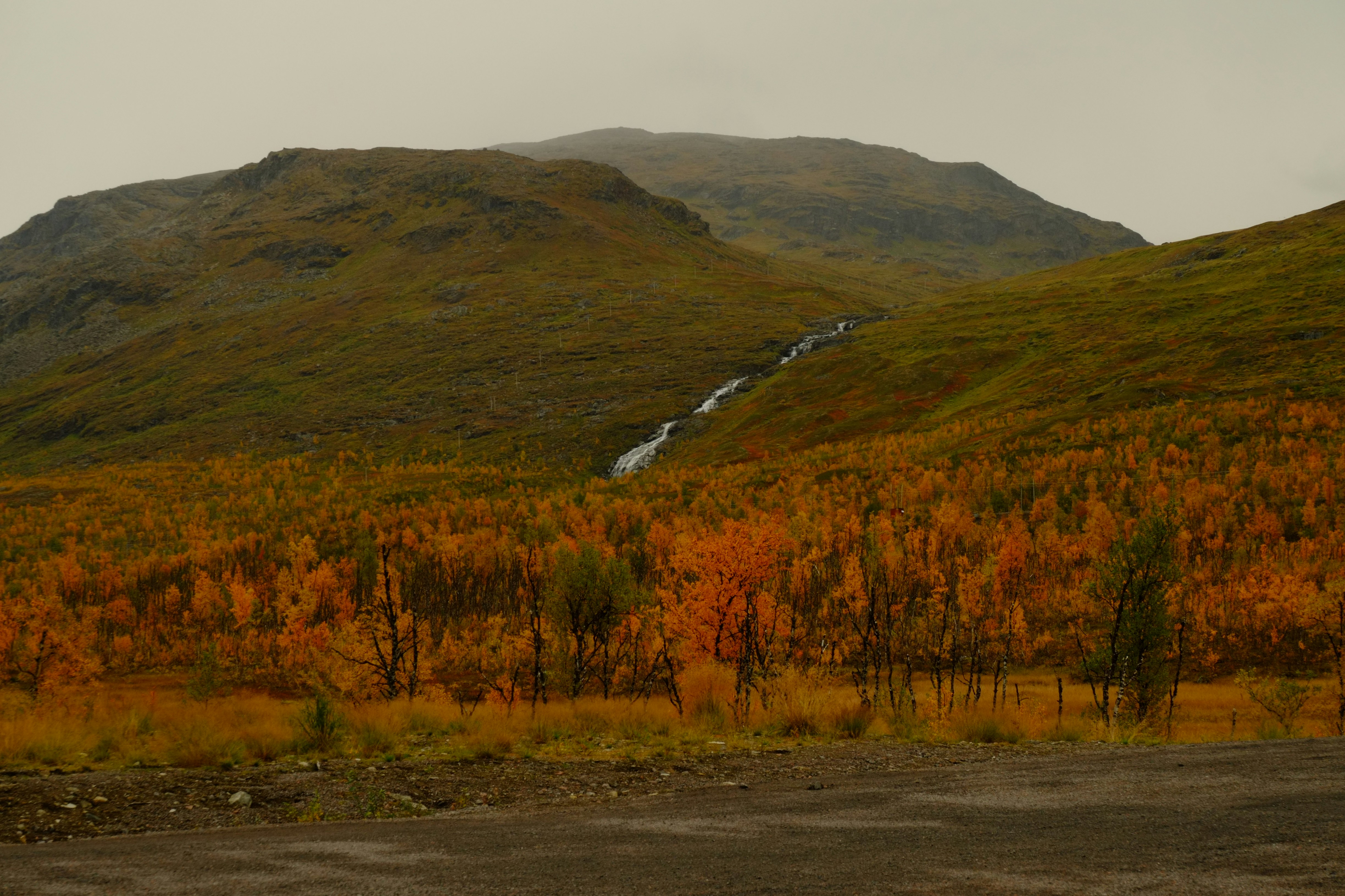 Photo by bernhardbar