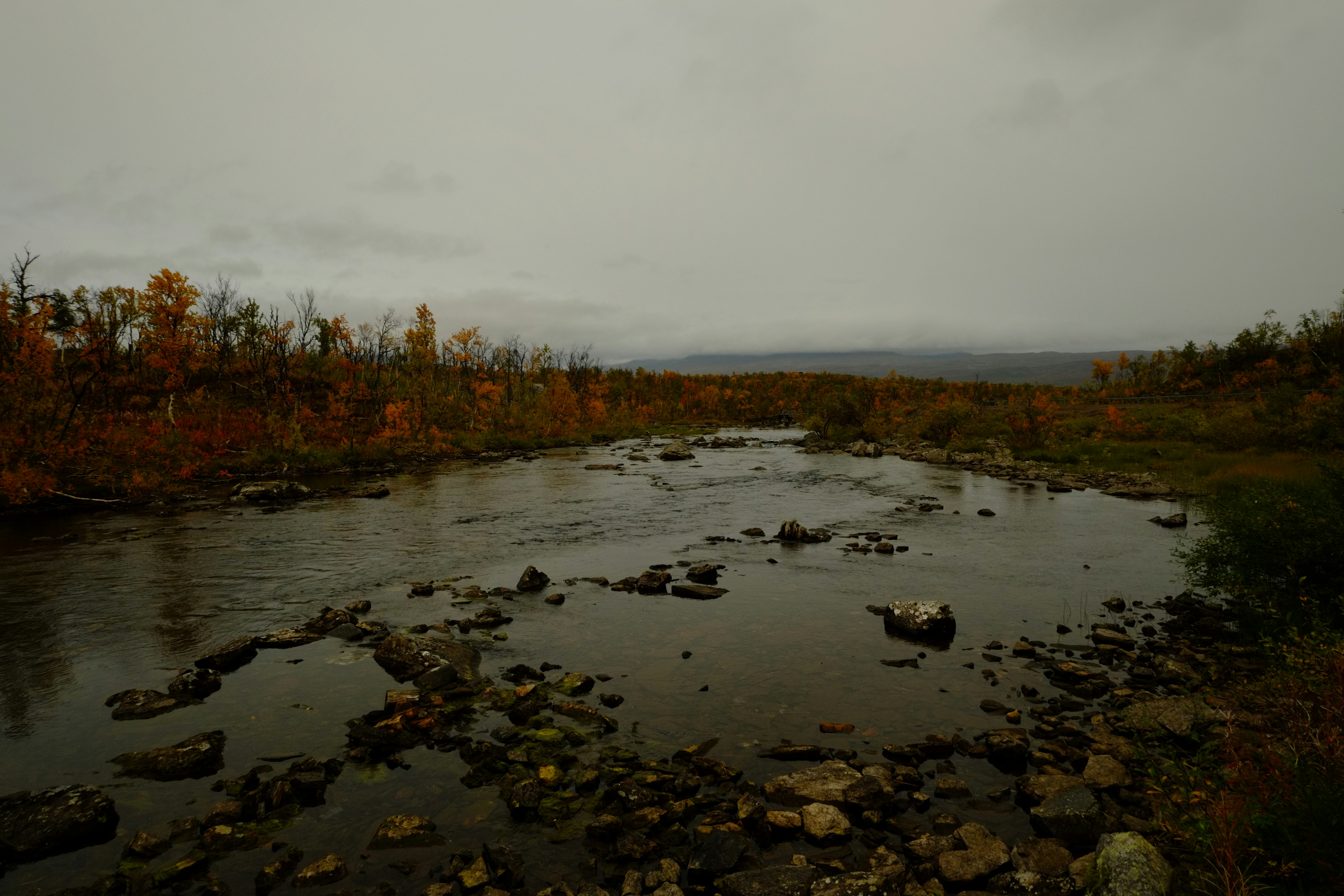 Photo by bernhardbar