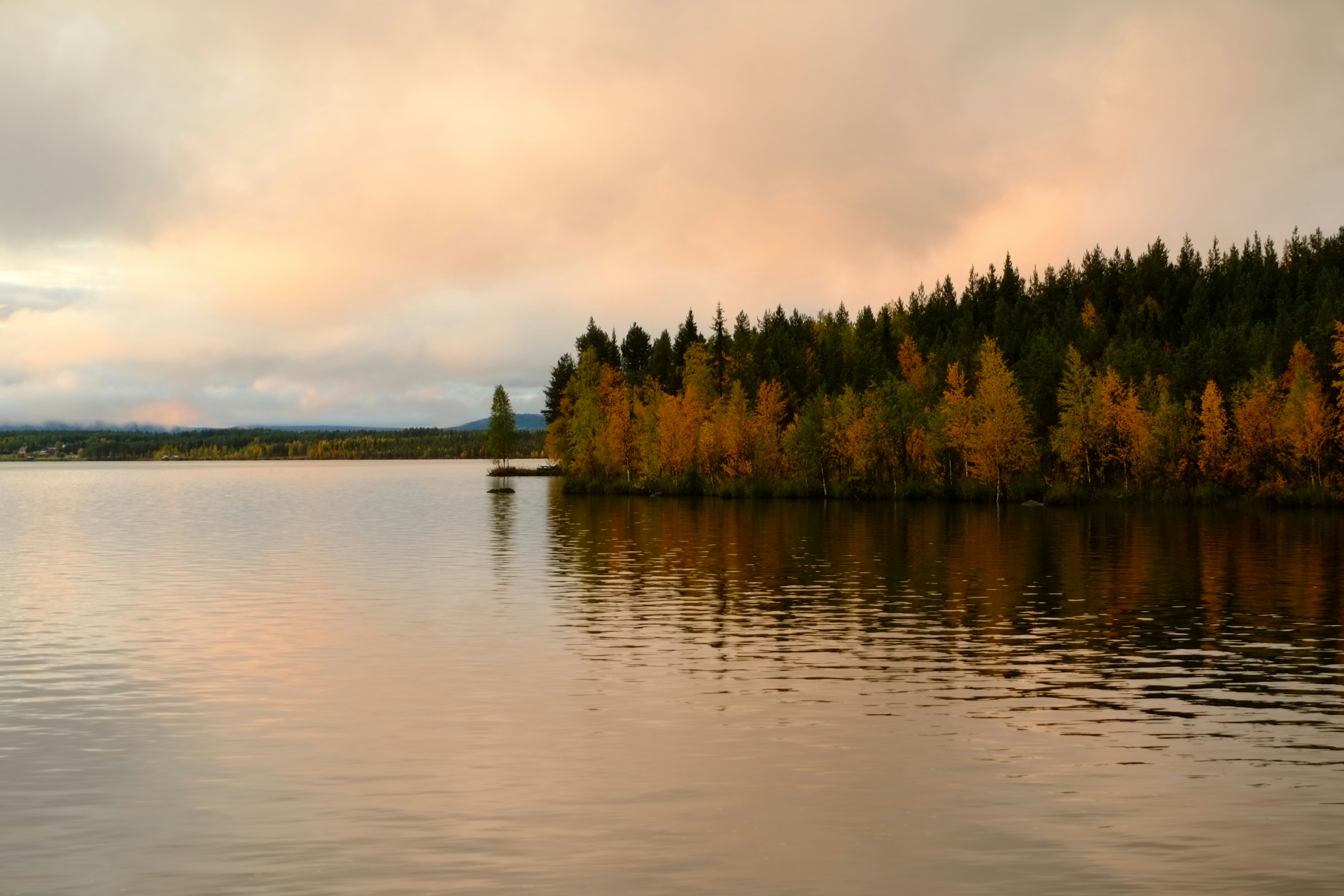 Photo by bernhardbar