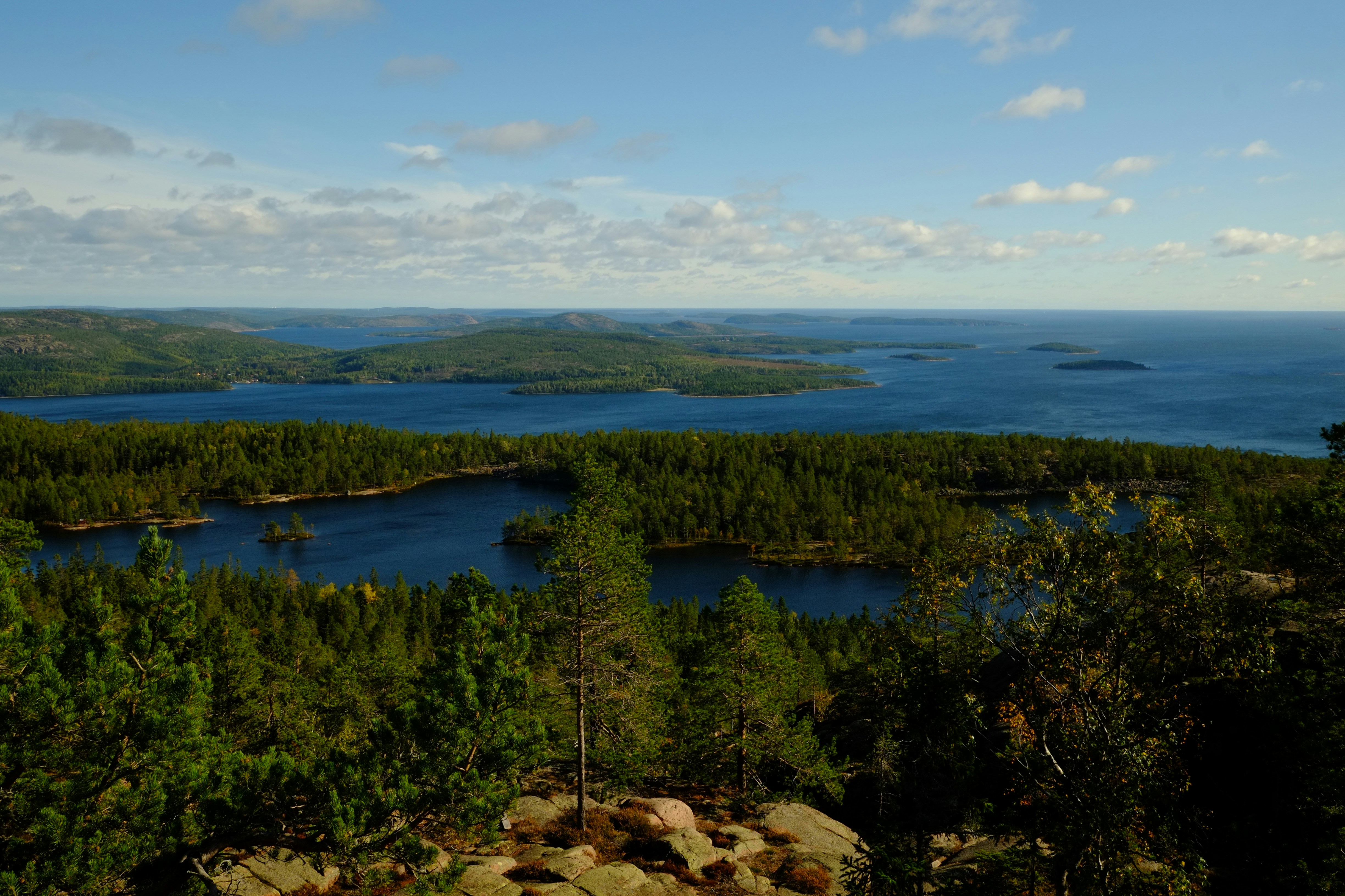 Photo by bernhardbar