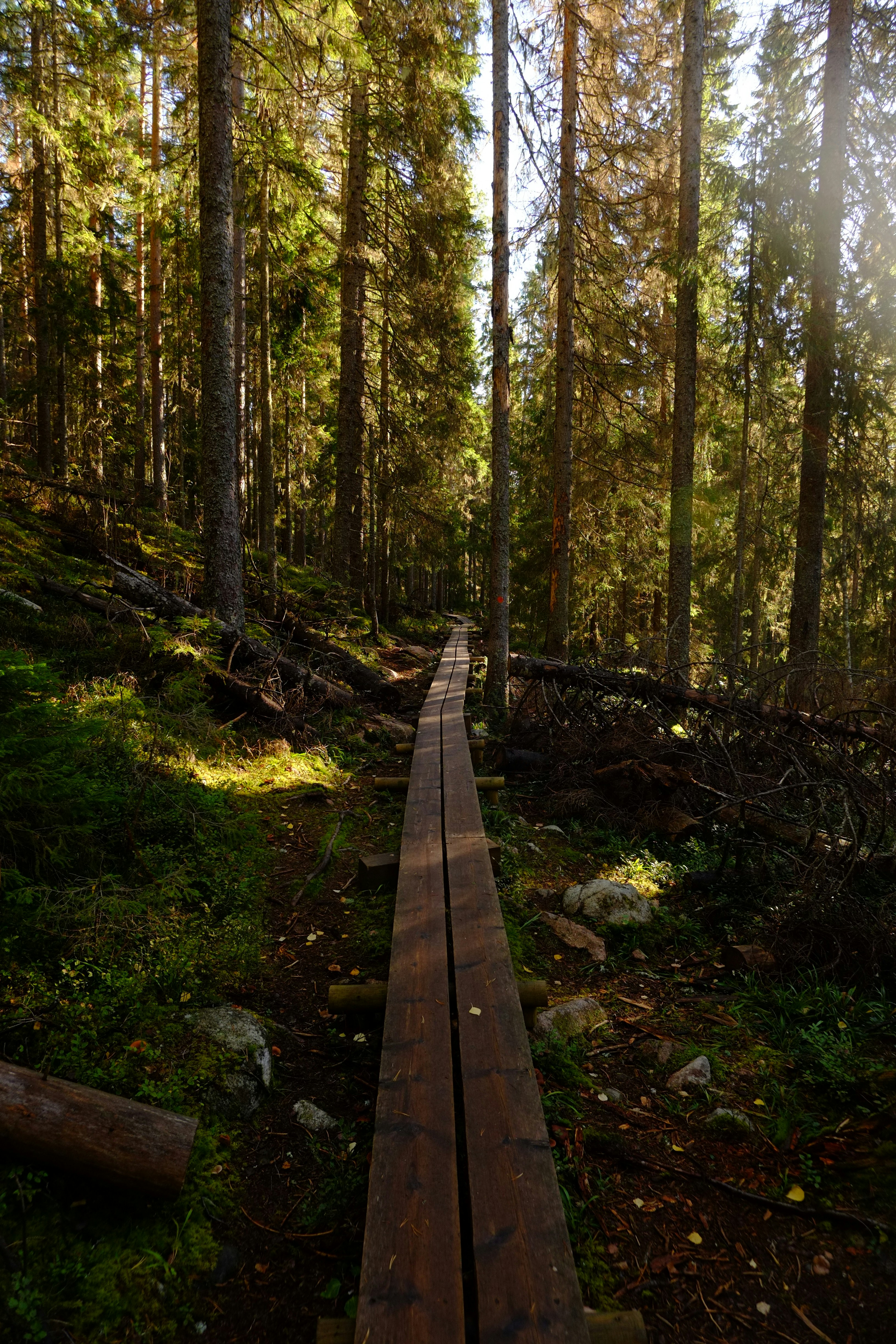 Photo by bernhardbar