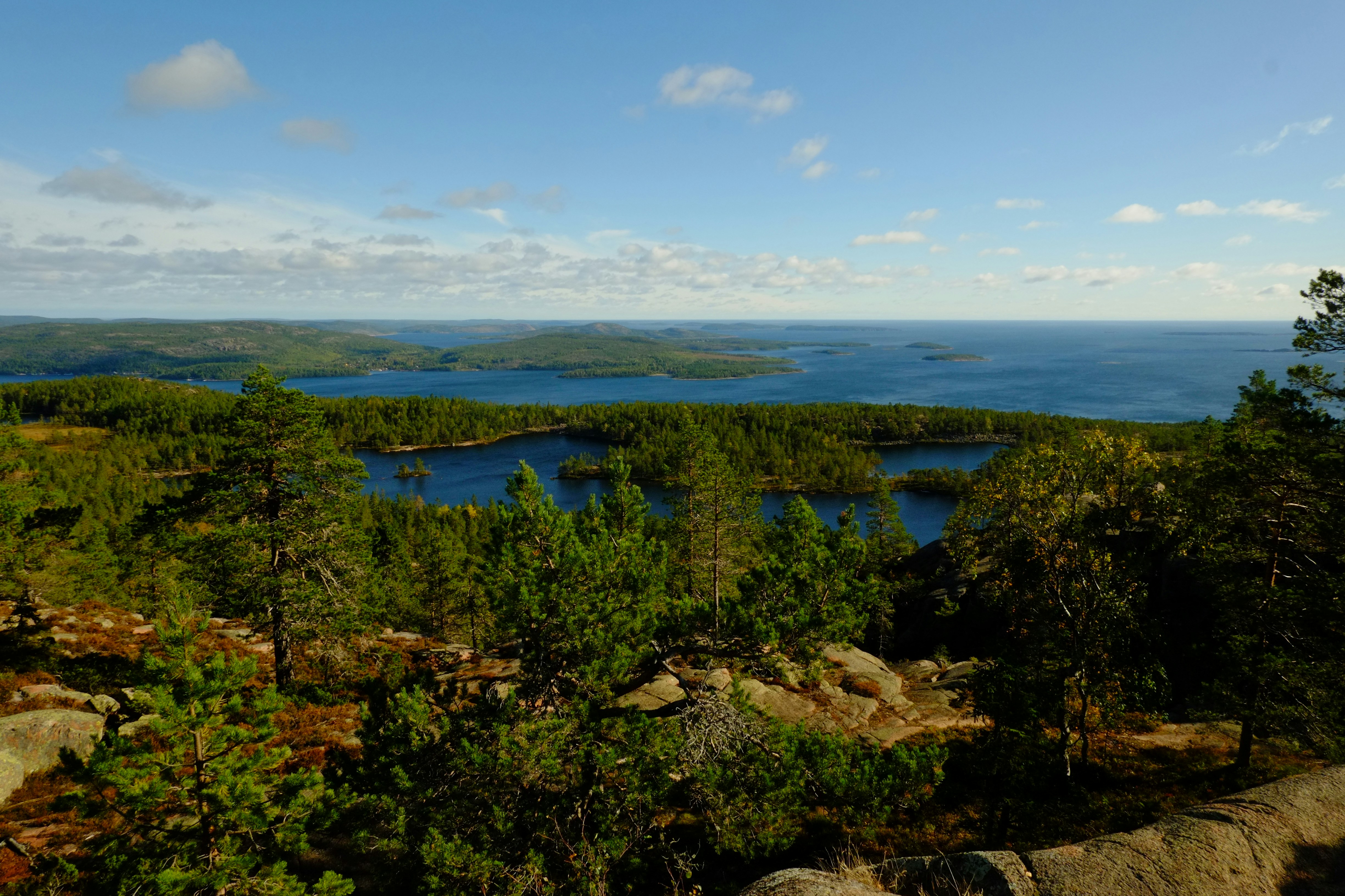 Photo by bernhardbar