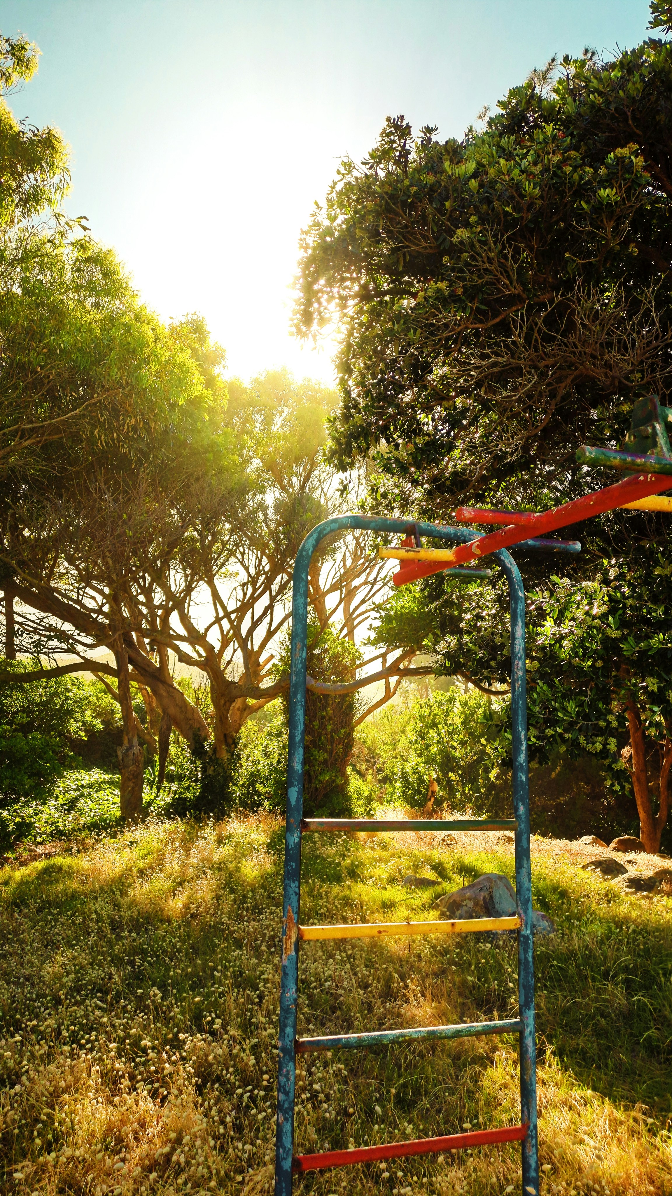Barras coloridas em um parque ensolarado.