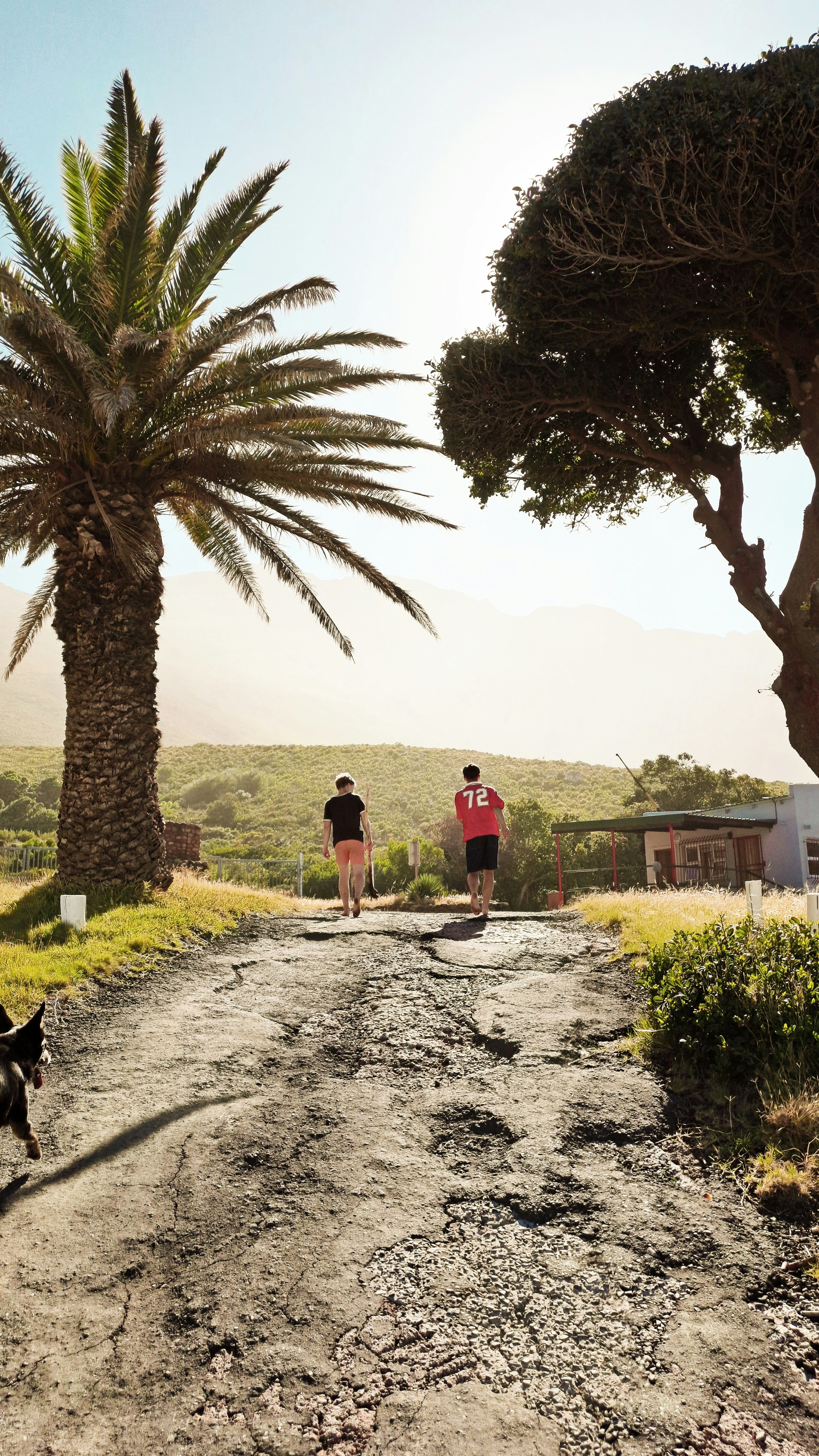 Duas pessoas caminham por uma estrada de terra com árvores.