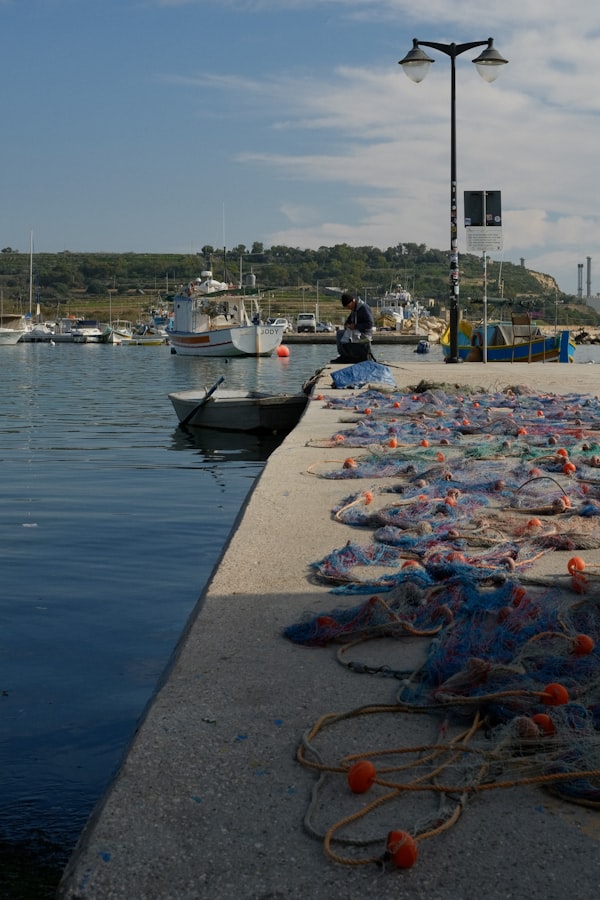 Pêcheur sur le port