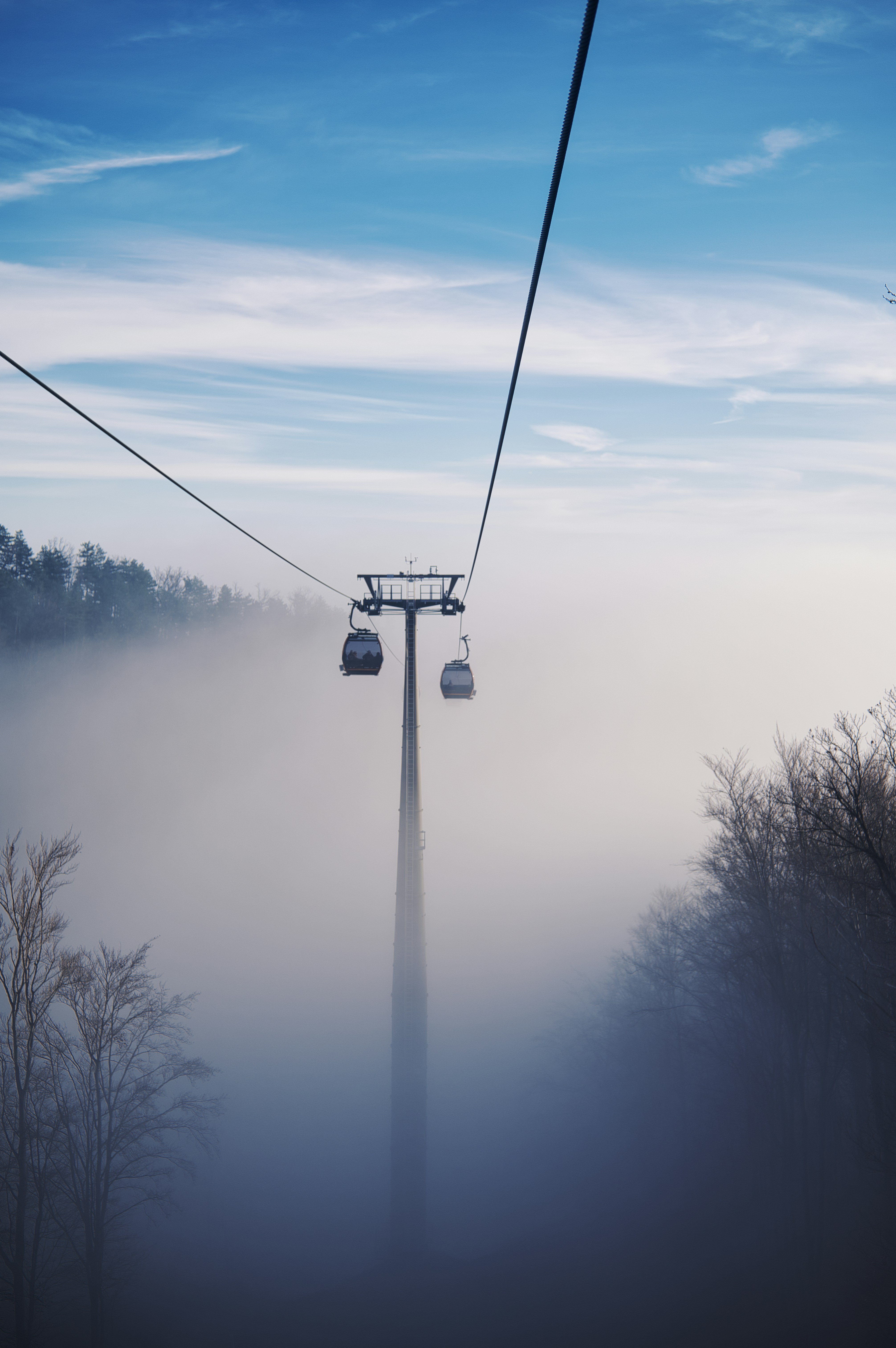 Cable cars ascend through misty winter forest