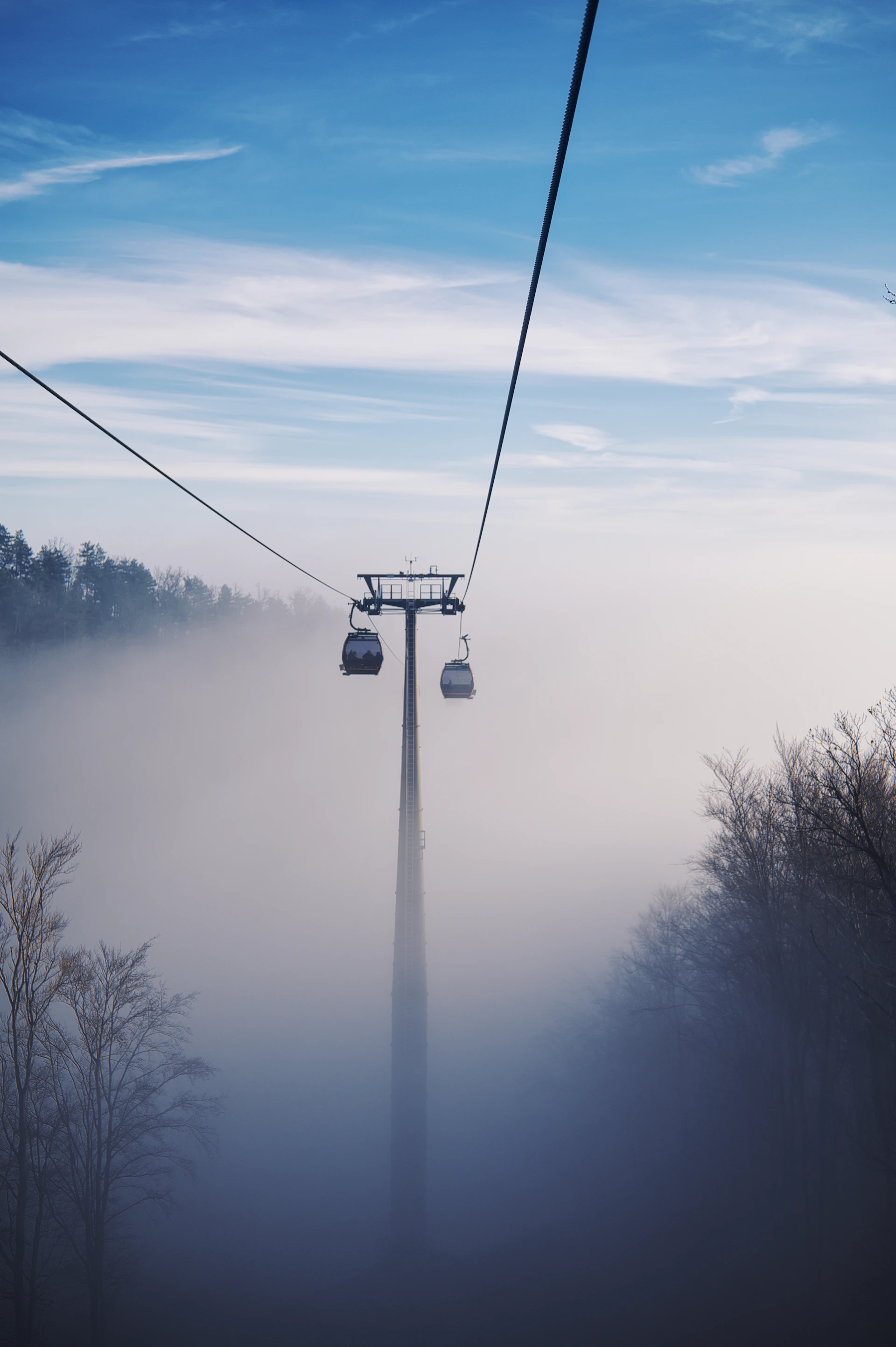 Cable cars ascend through misty winter forest