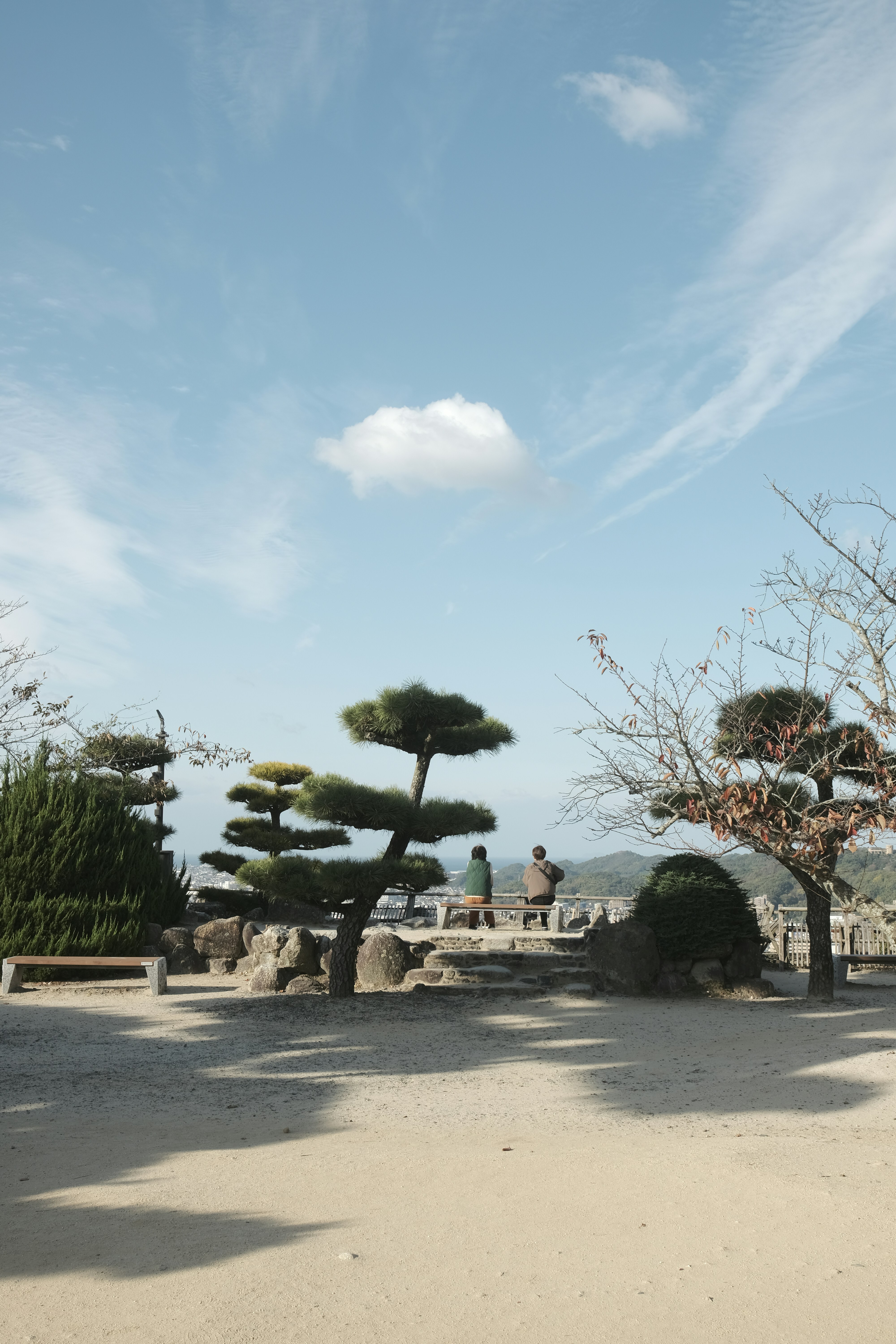 Two people sitting in a japanese garden with trees.