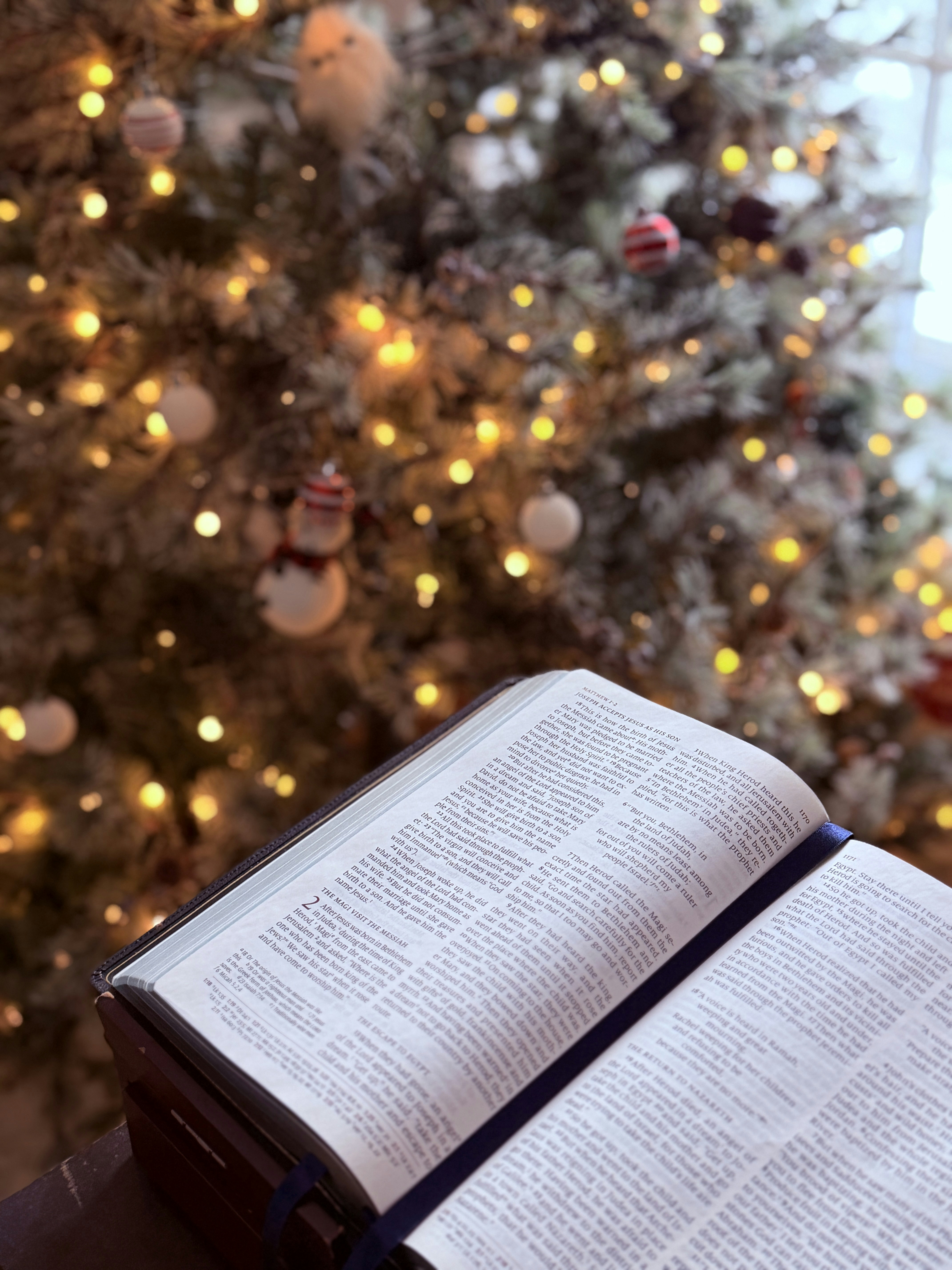 Open bible in front of a decorated christmas tree.