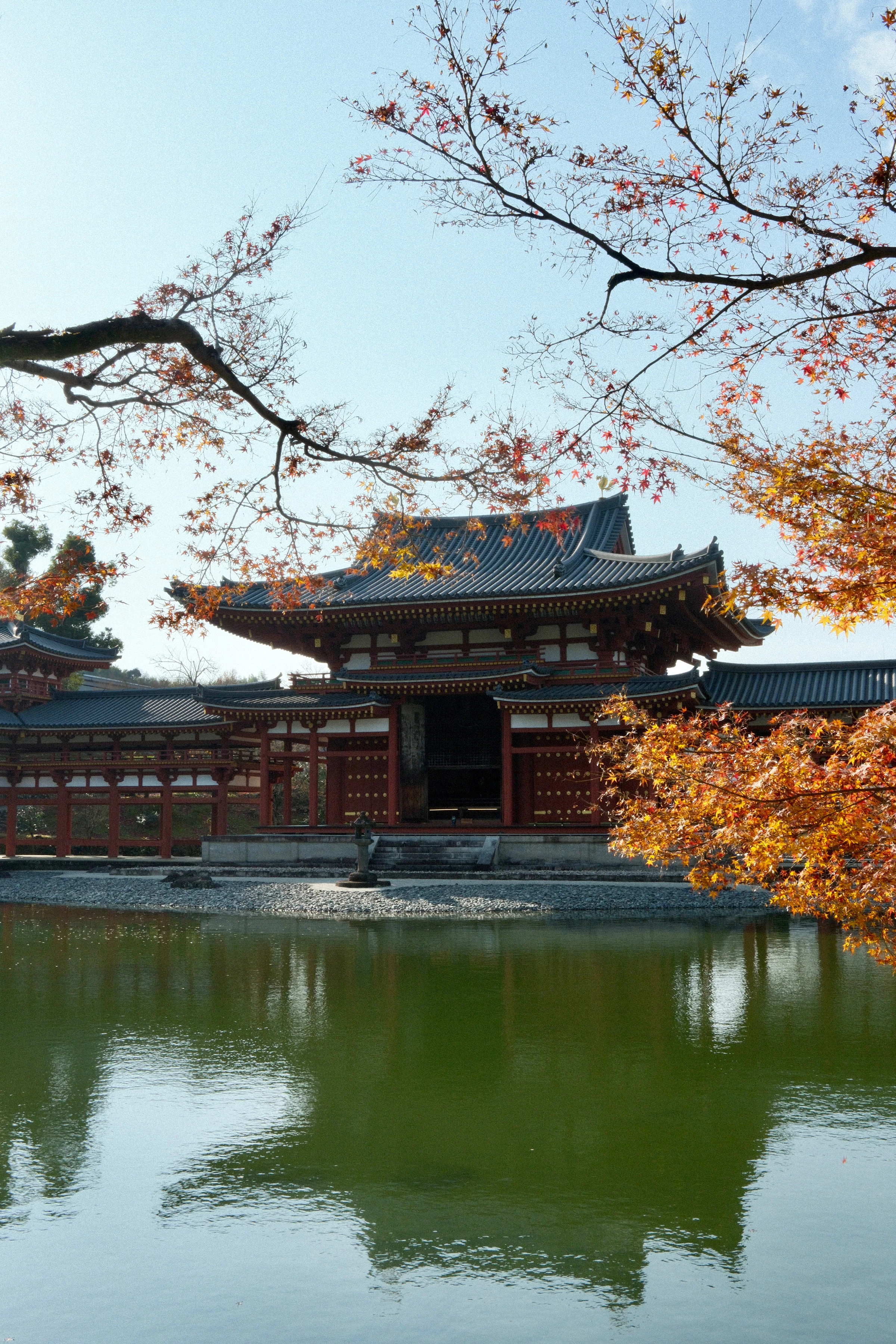 Vibrant autumn maples over a traditional Kyoto temple pond, photo by Nhi Ly on Unsplash