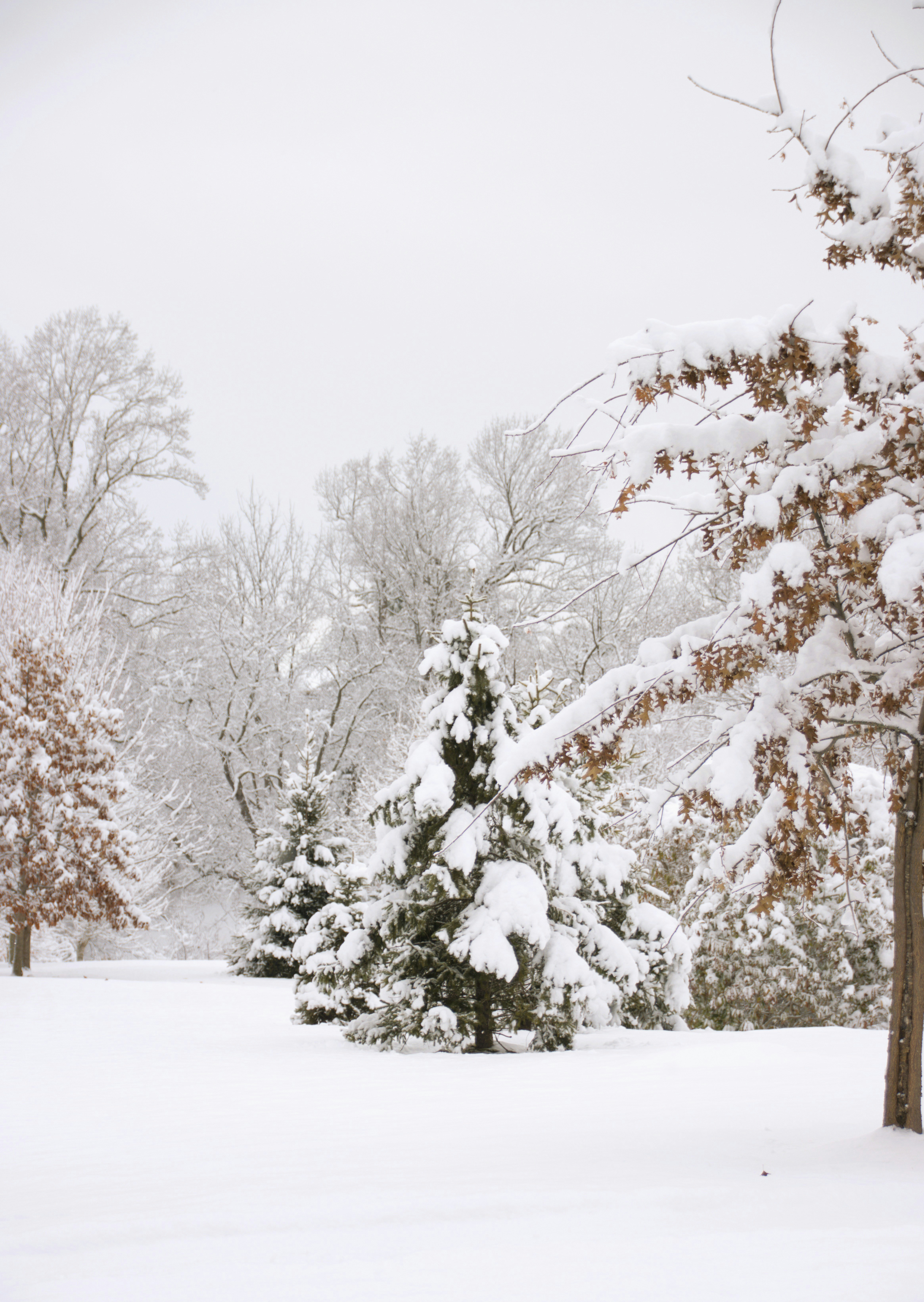 Photo by akshatjisme