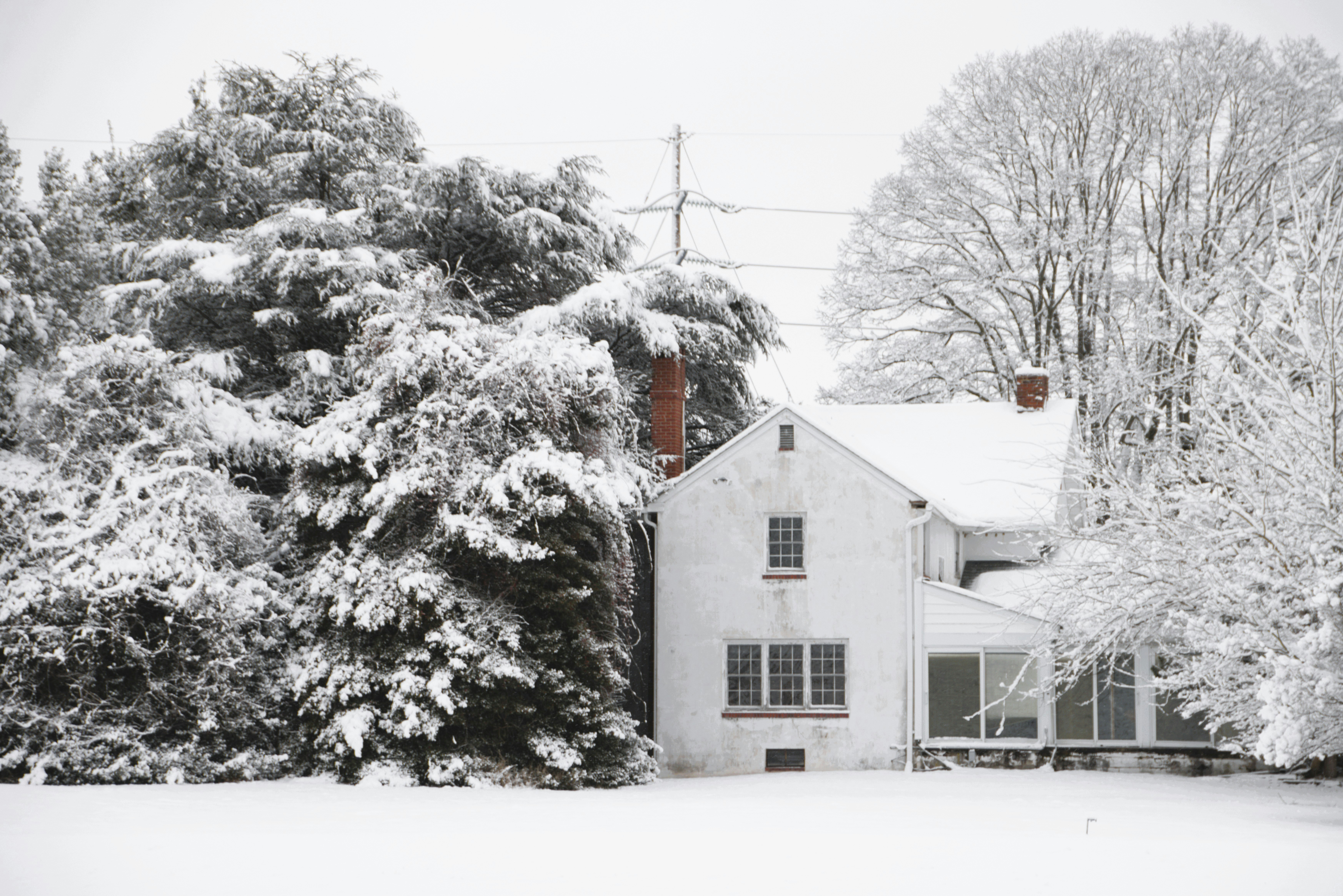 Photo by akshatjisme