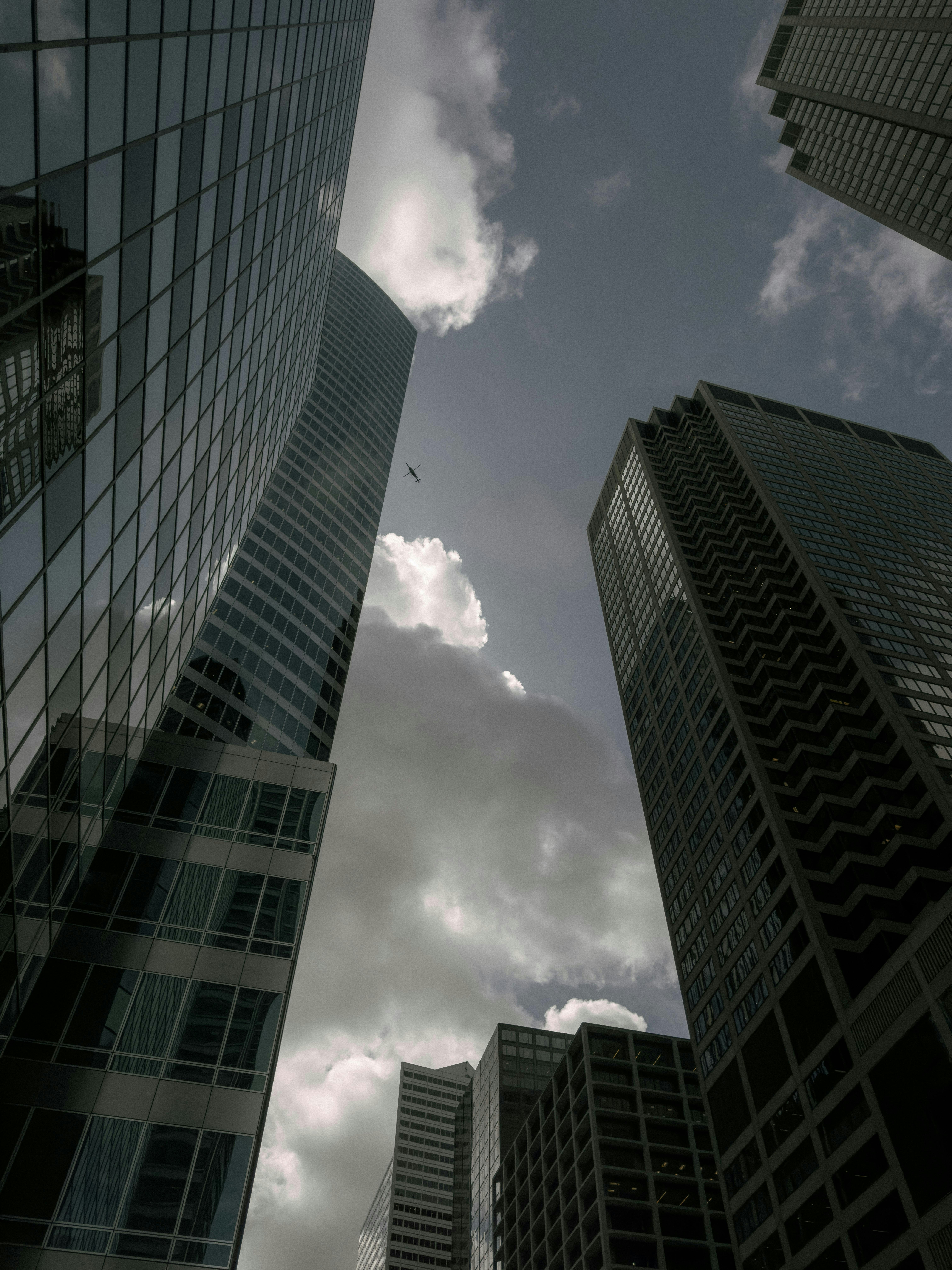 Photo by allenboguslavsky