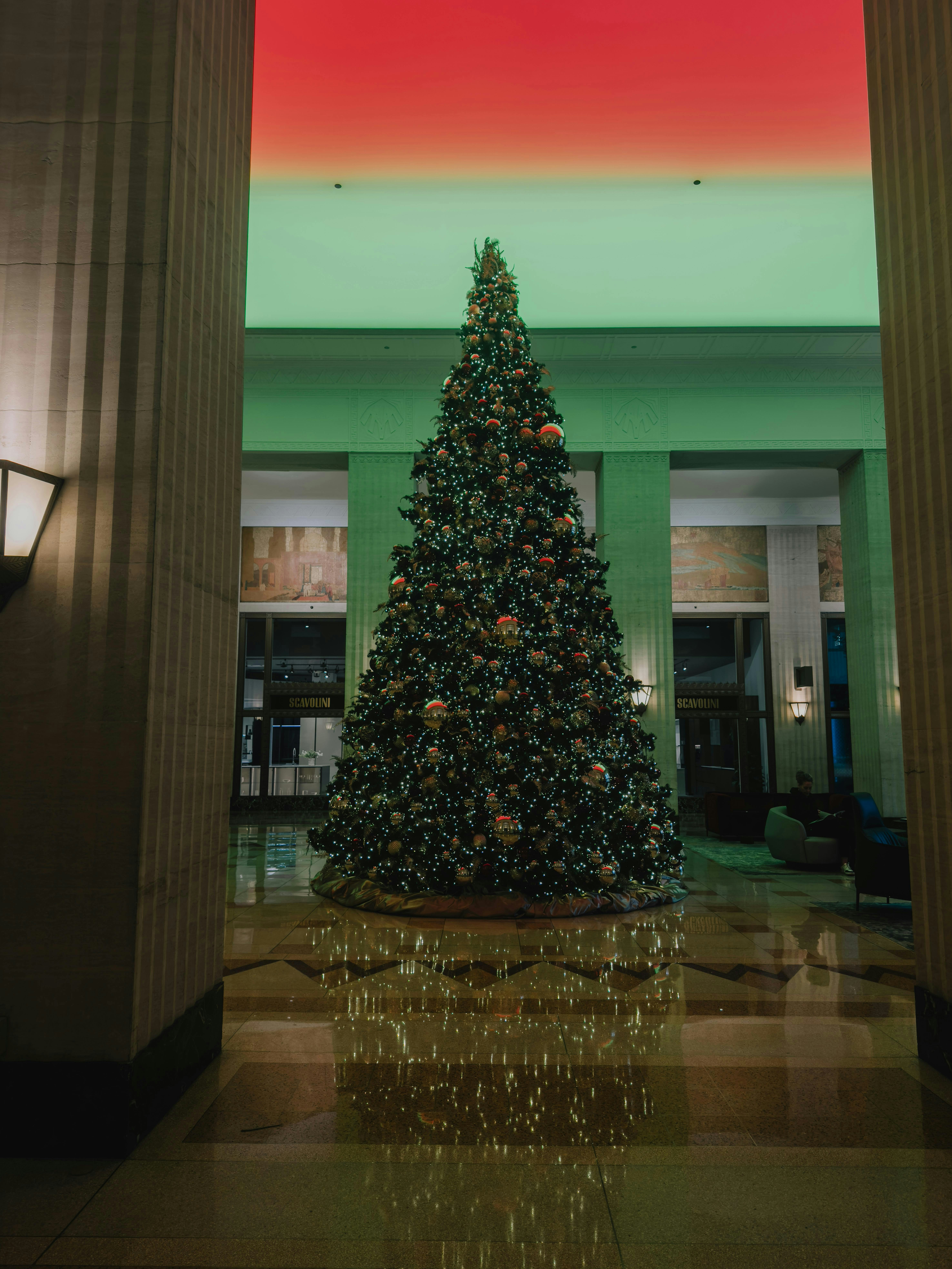 Photo by allenboguslavsky