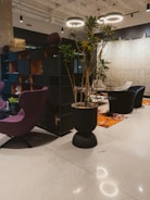 Modern lounge area with purple chairs and potted plant.
