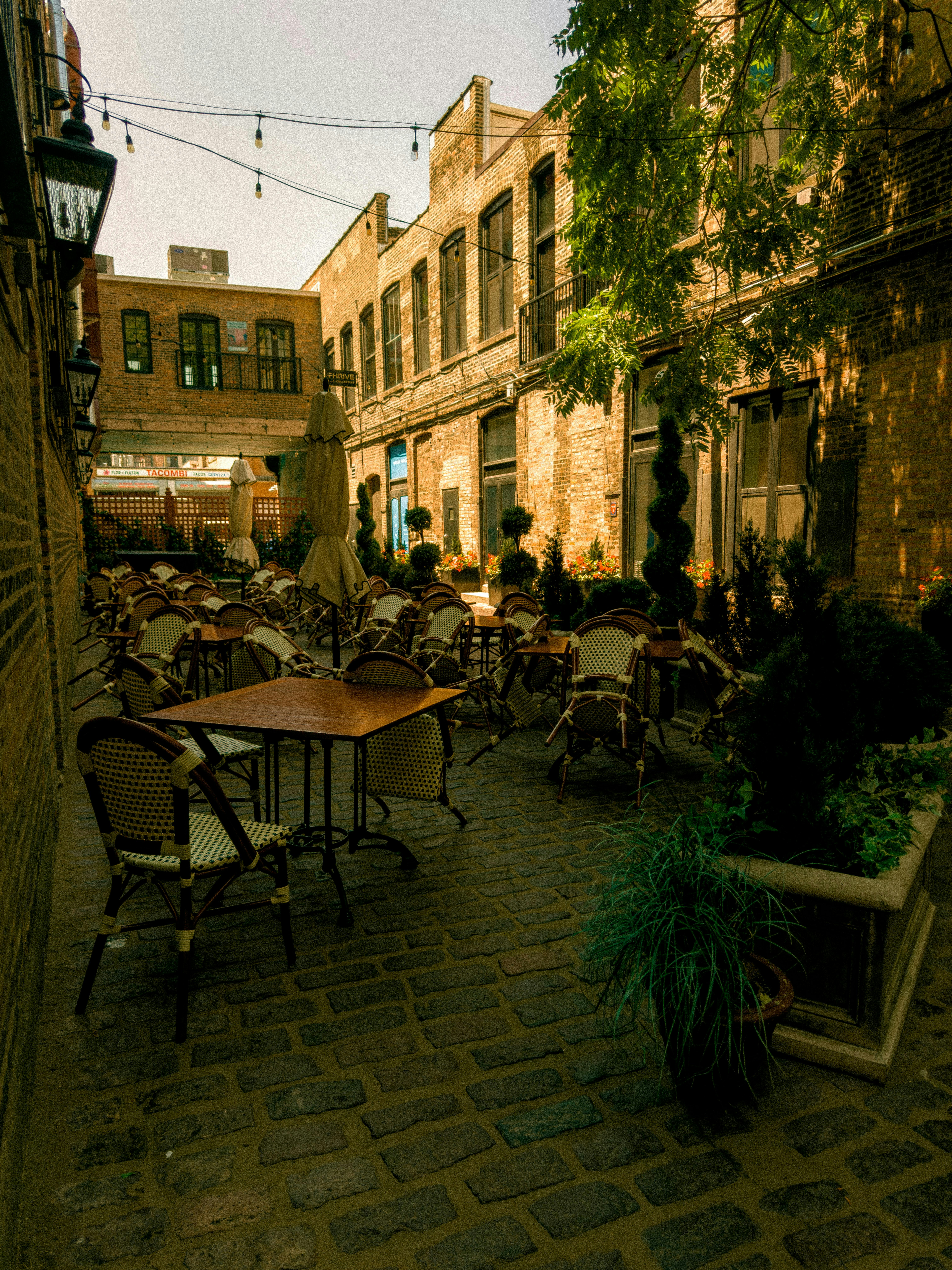 Photo by allenboguslavsky