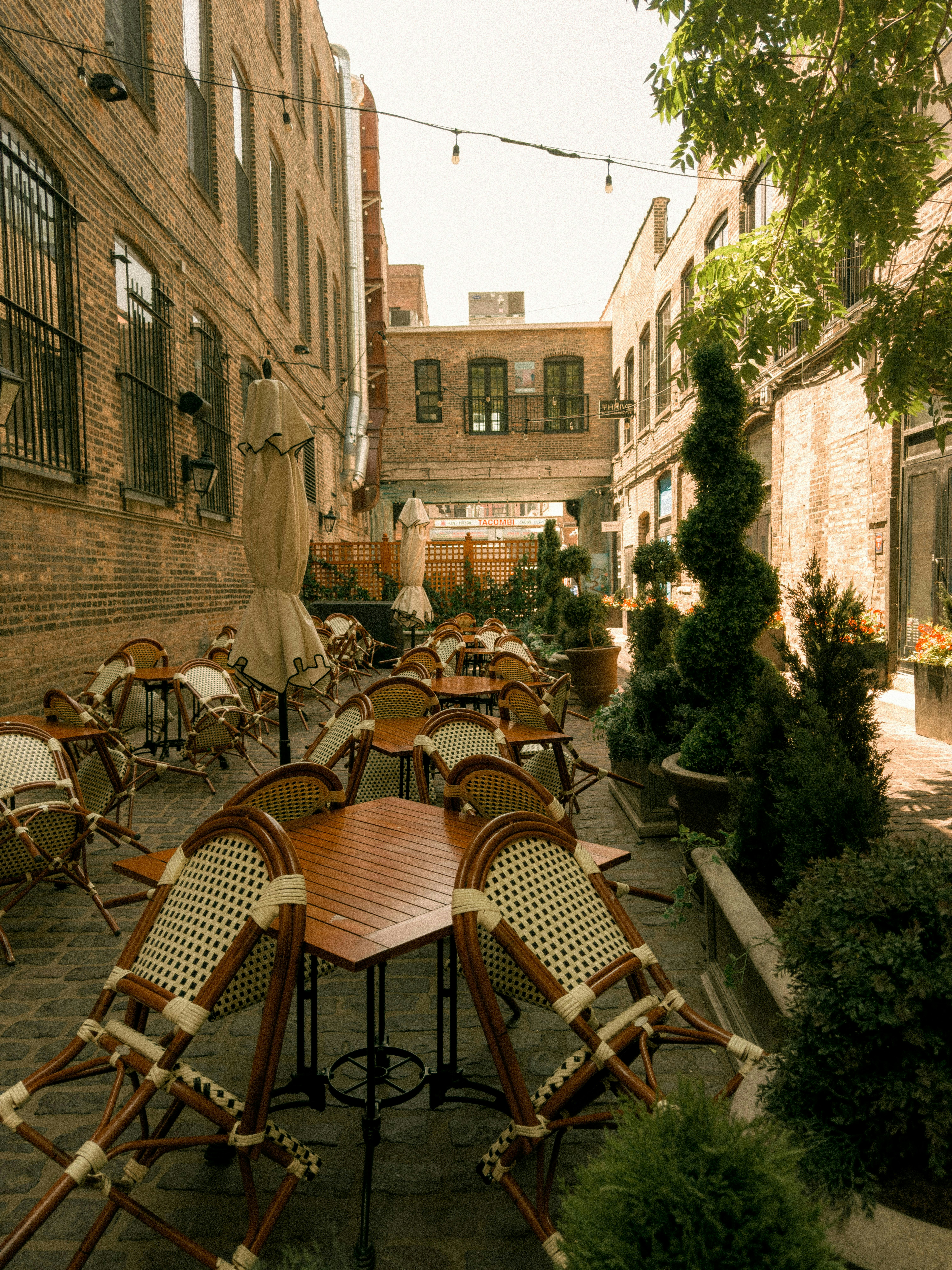 Zona de terraza con mesas y sillas al aire libre.