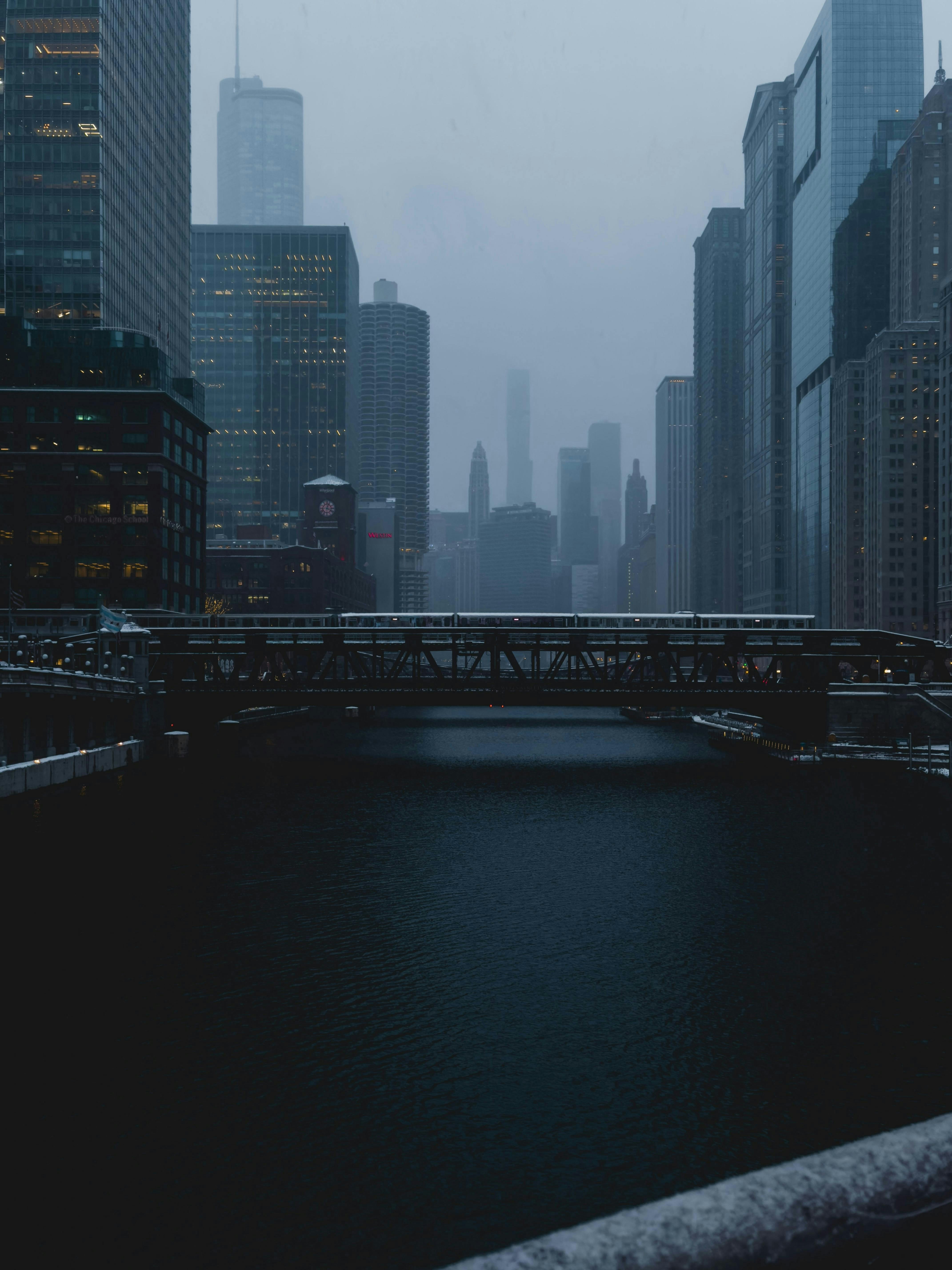 Photo by allenboguslavsky