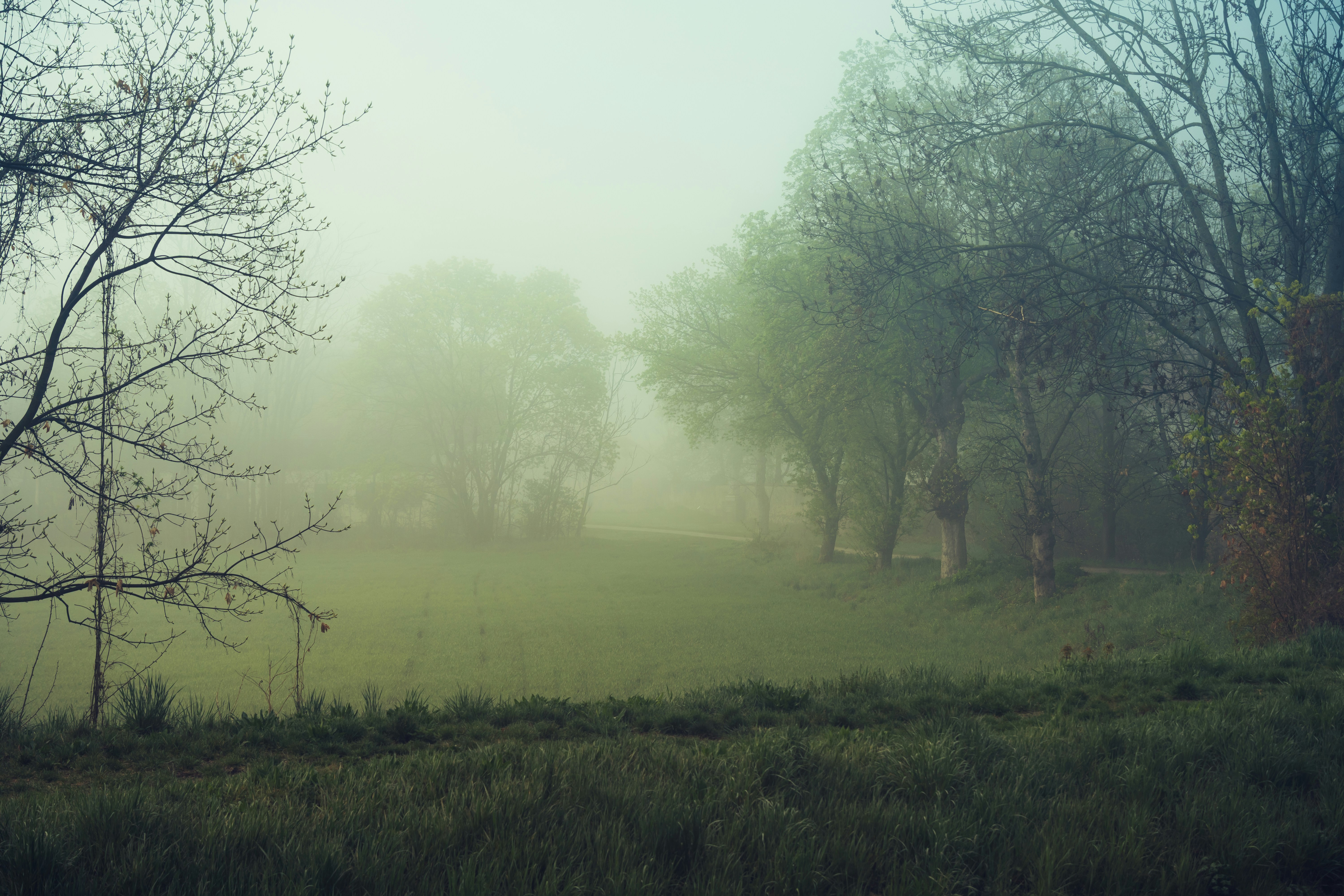 Photo by pino_rumbero