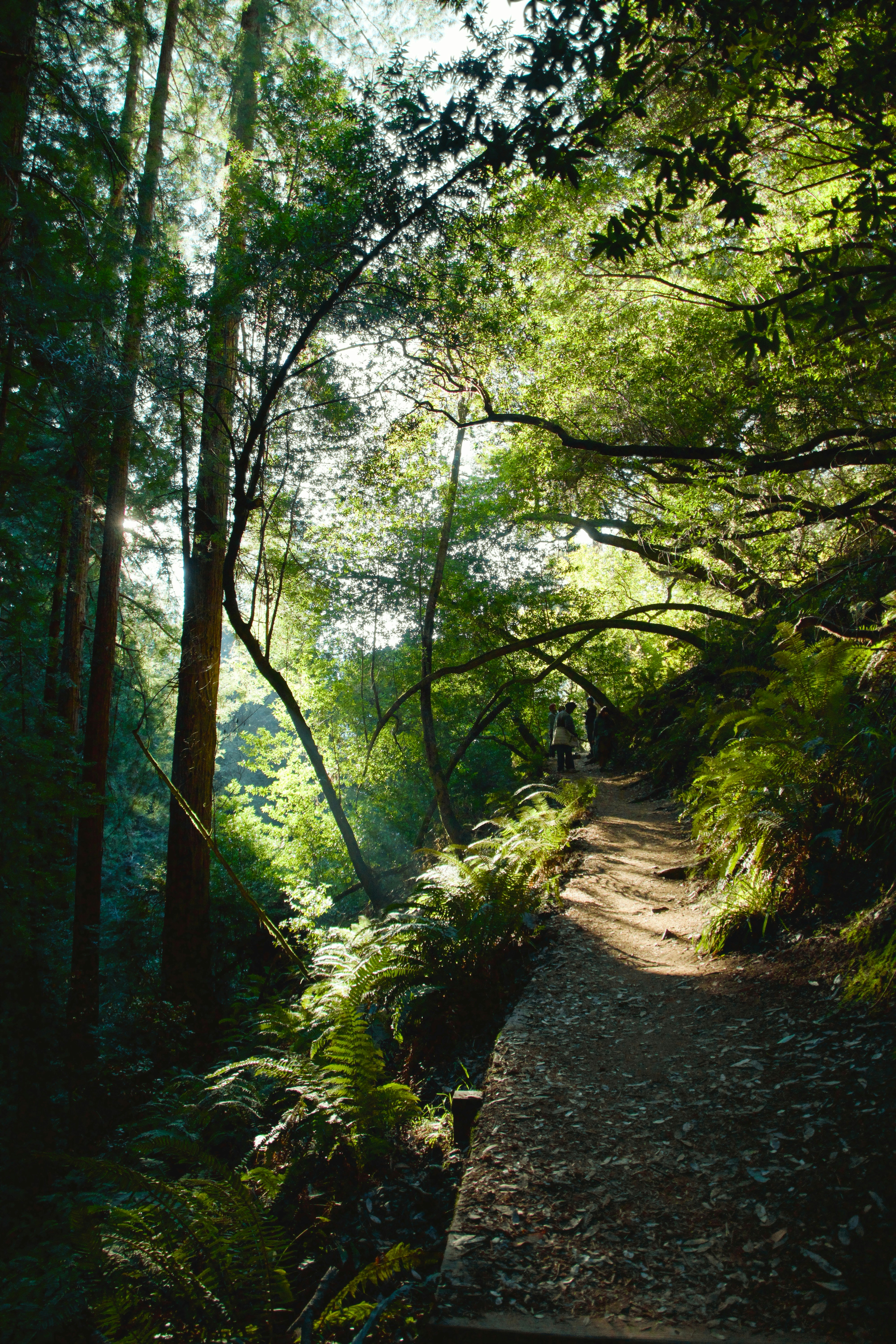 Photo by sarguninder