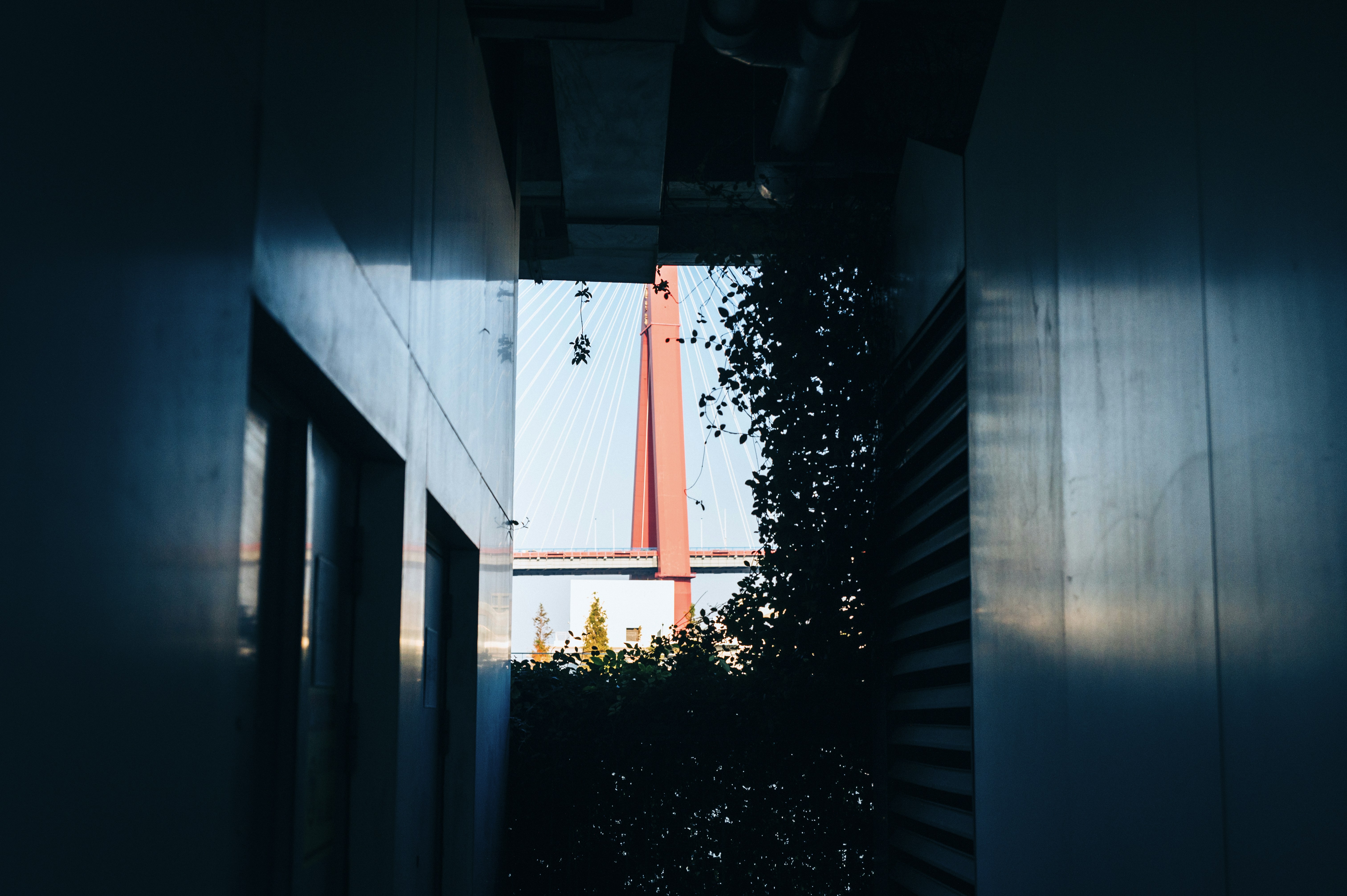 View through a modern building with plants and bridge.